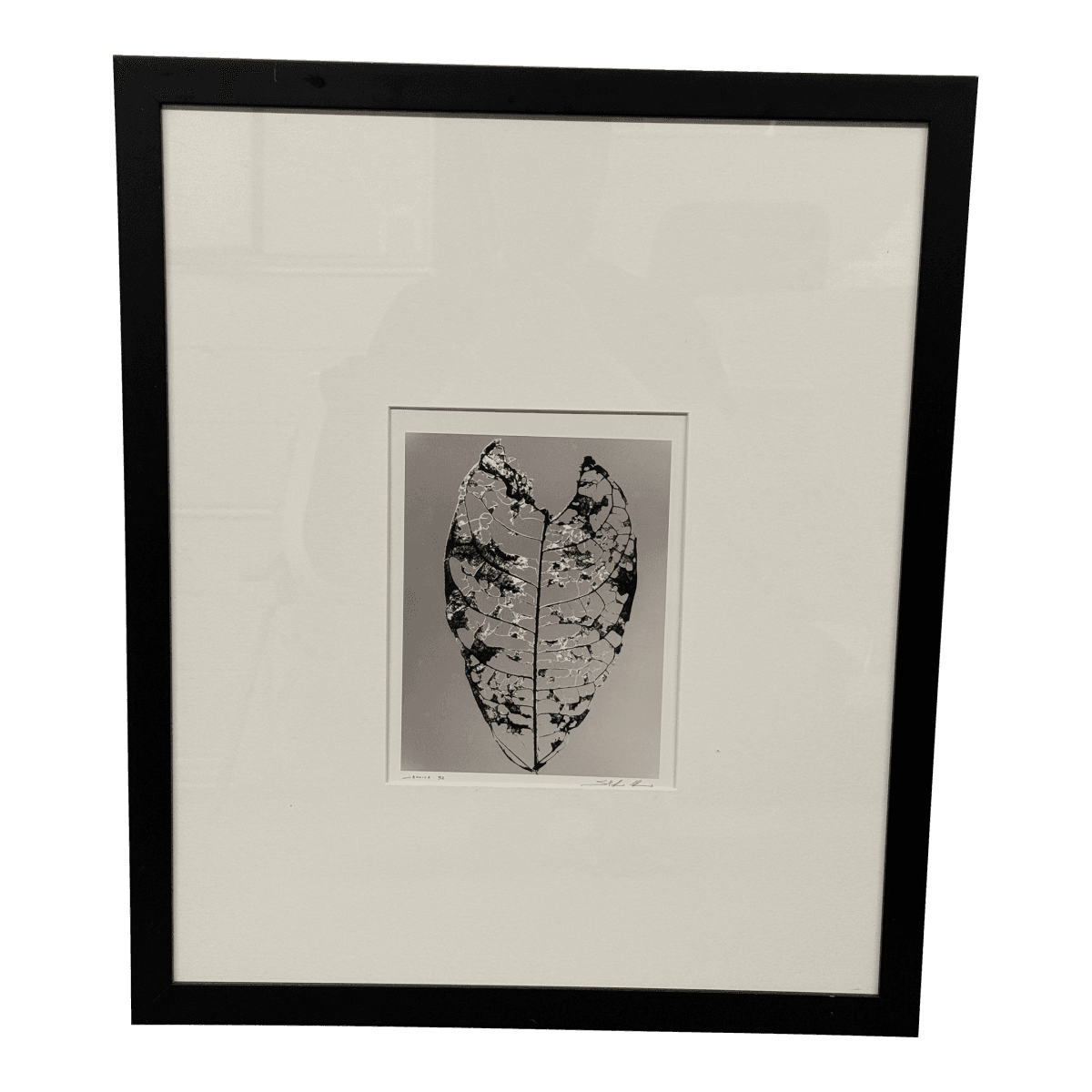 Circa 1992 Stefano Massei's "Jamaica" Leaf, Print - Thumbnail 2