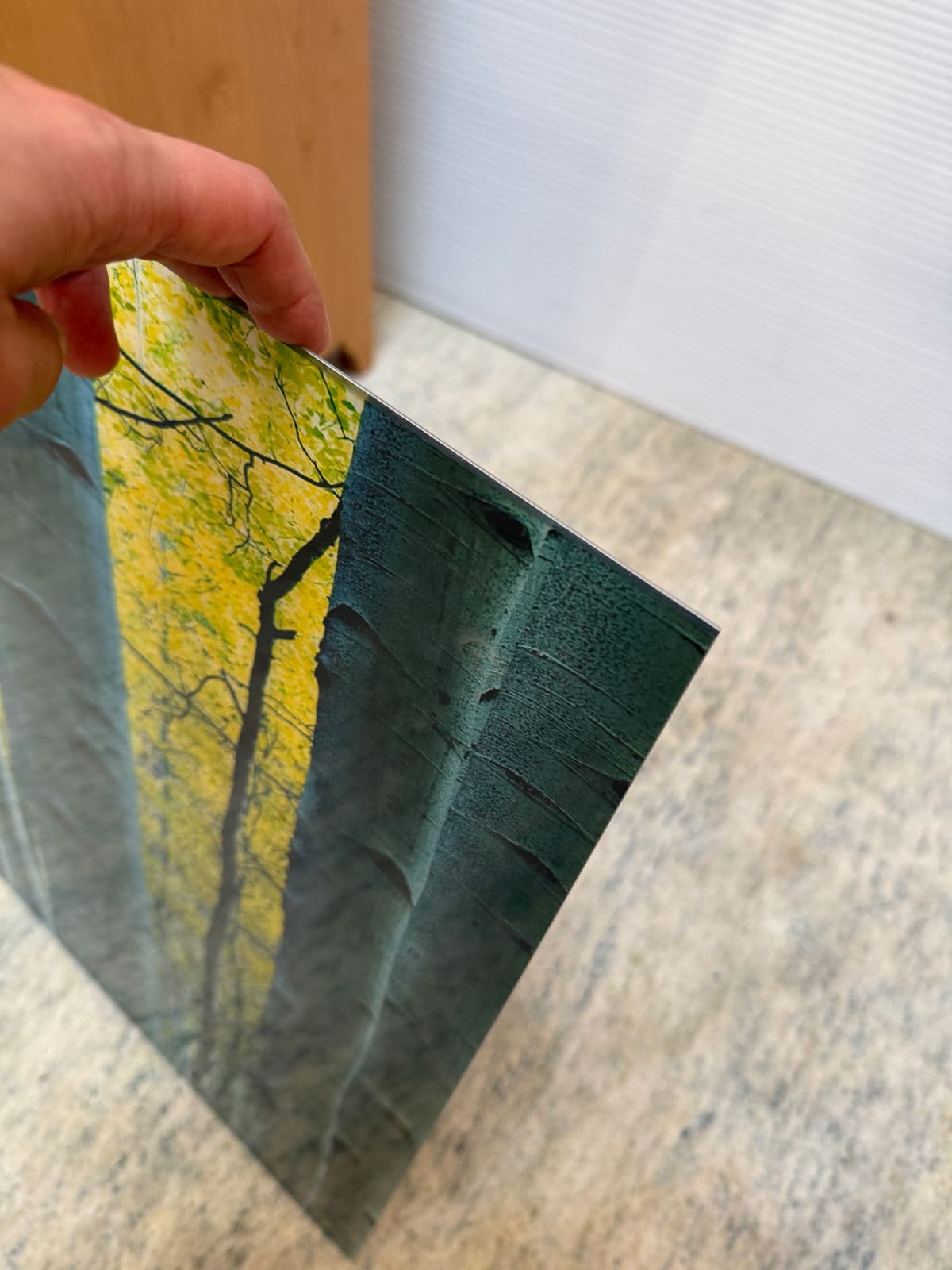 Peter Lik "Endless Birches" Photographic Acrylic Mount - Thumbnail 10