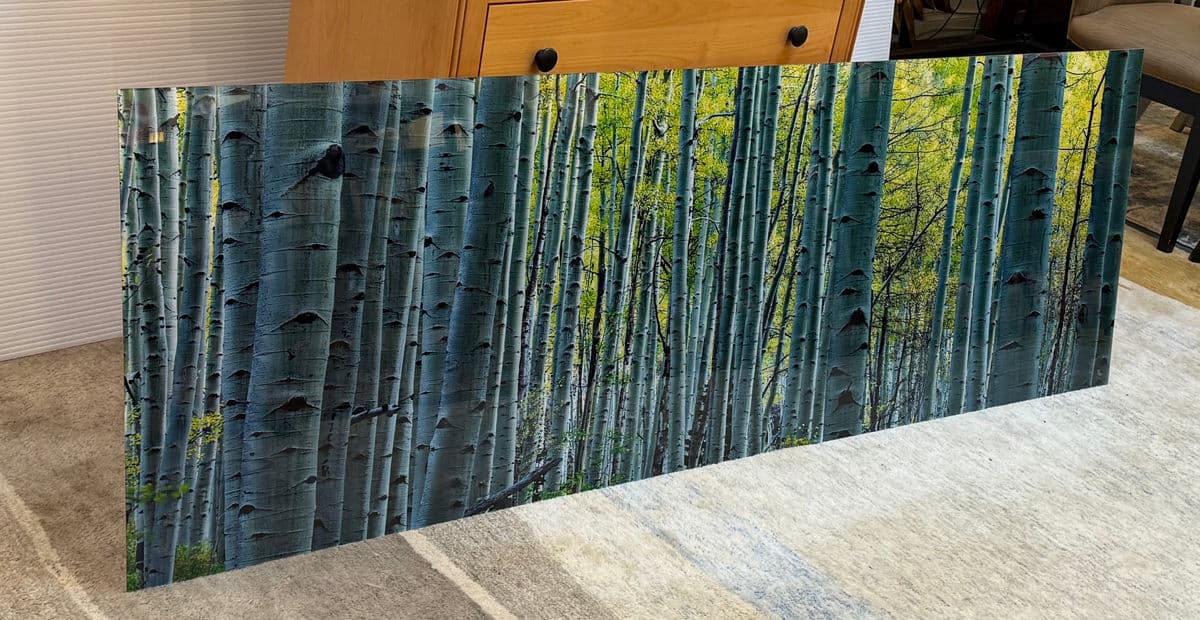 Peter Lik "Endless Birches" Photographic Acrylic Mount - Thumbnail 3