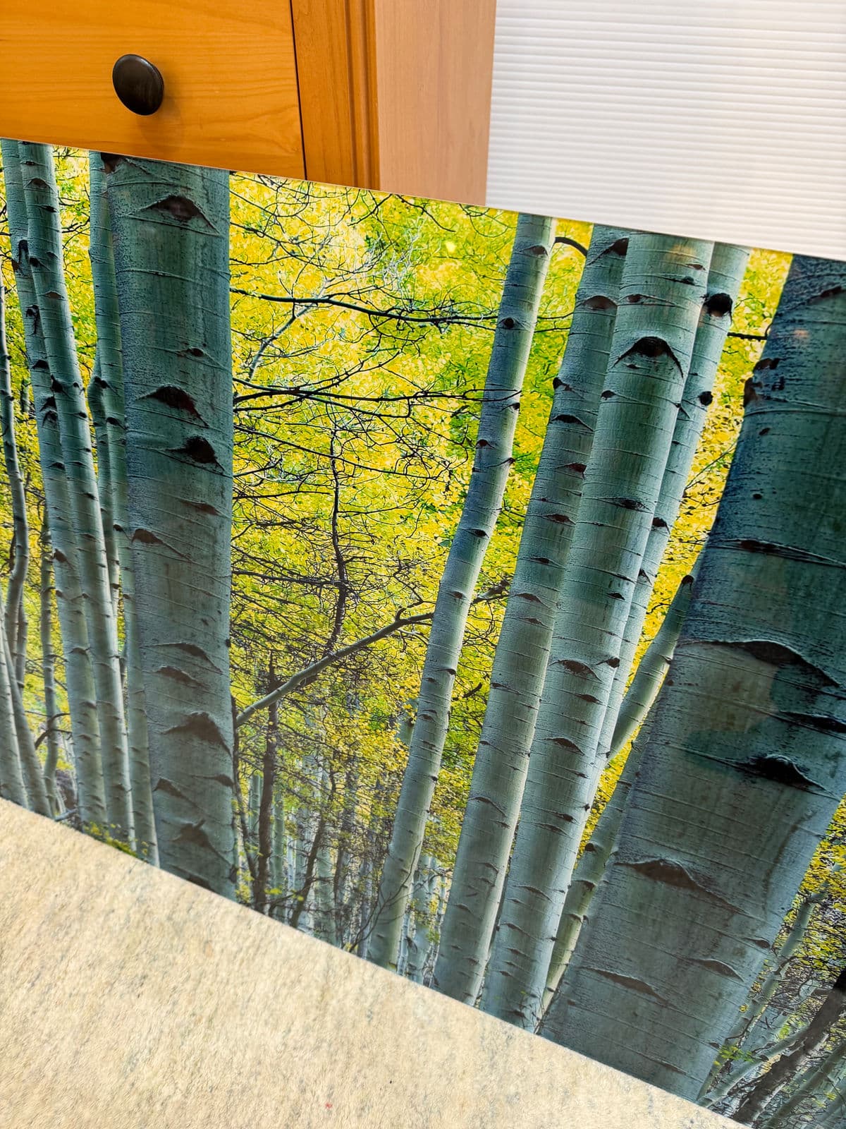 Peter Lik "Endless Birches" Photographic Acrylic Mount - Thumbnail 4