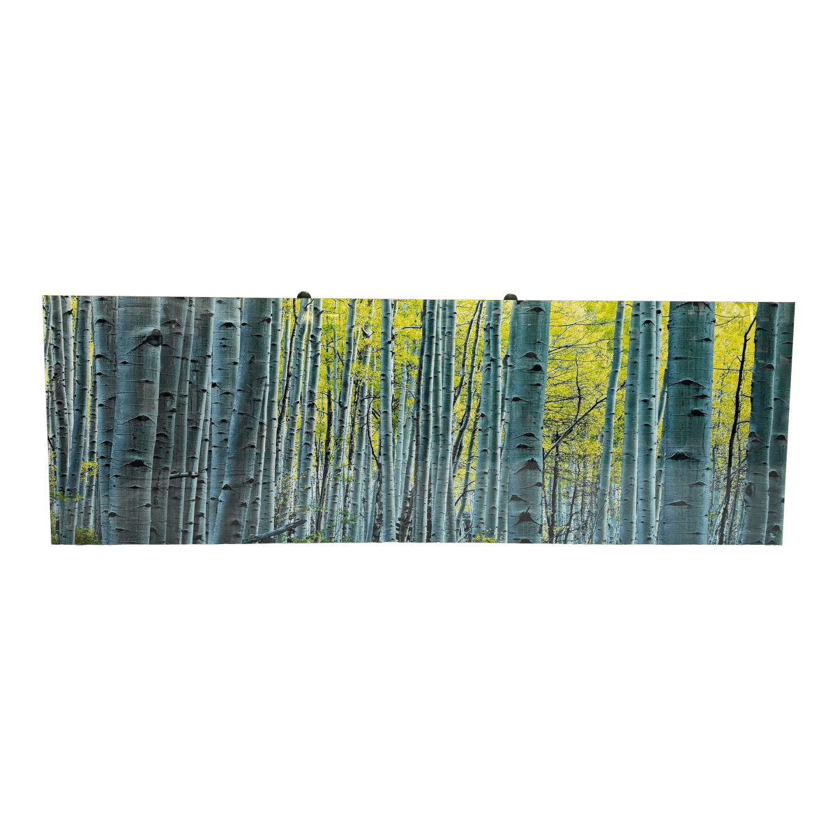 Peter Lik "Endless Birches" Photographic Acrylic Mount - Thumbnail 2