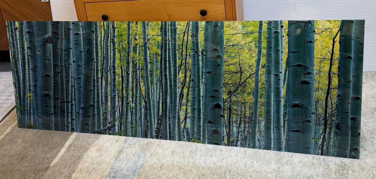 Peter Lik "Endless Birches" Photographic Acrylic Mount - Thumbnail 8