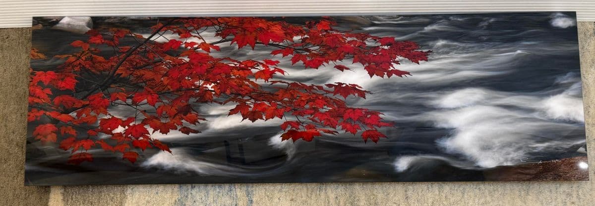 Peter Lik "River of Zen" Photographic Acrylic Mount - Thumbnail 12