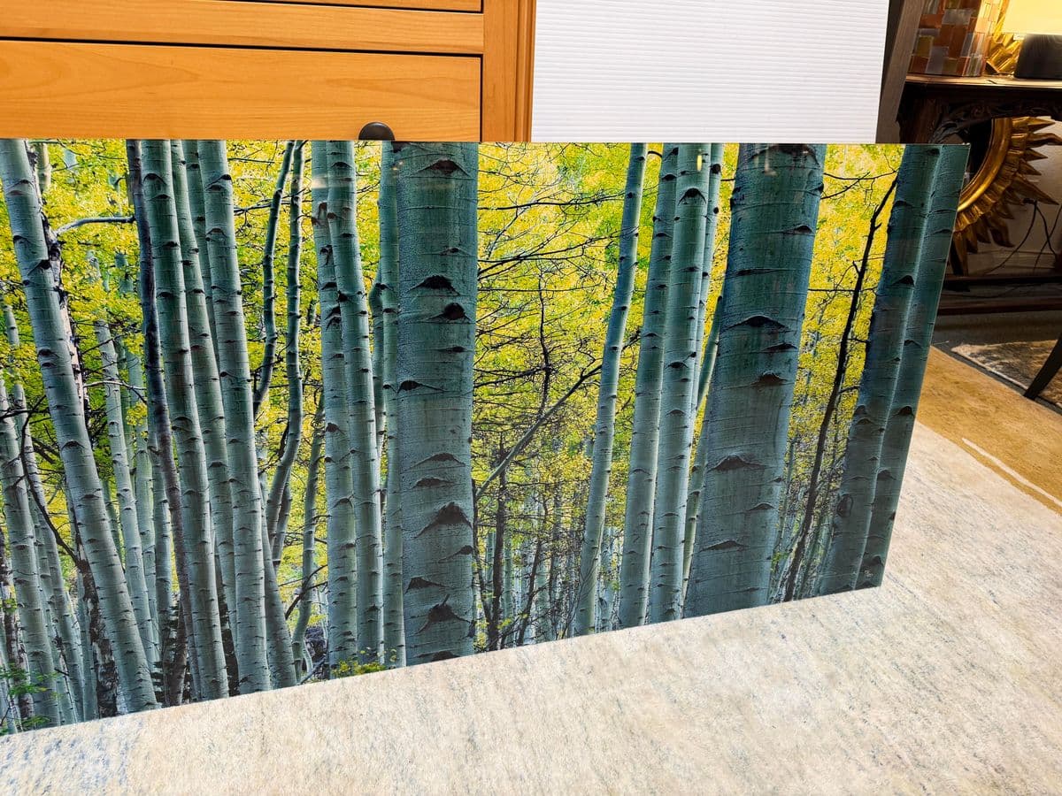 Peter Lik "Endless Birches" Photographic Acrylic Mount - Thumbnail 12