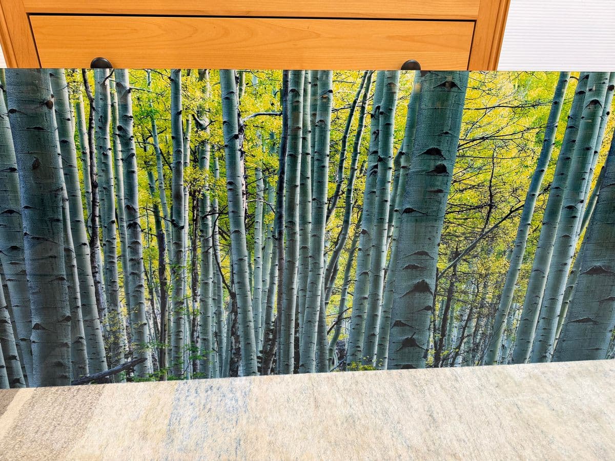 Peter Lik "Endless Birches" Photographic Acrylic Mount - Thumbnail 6