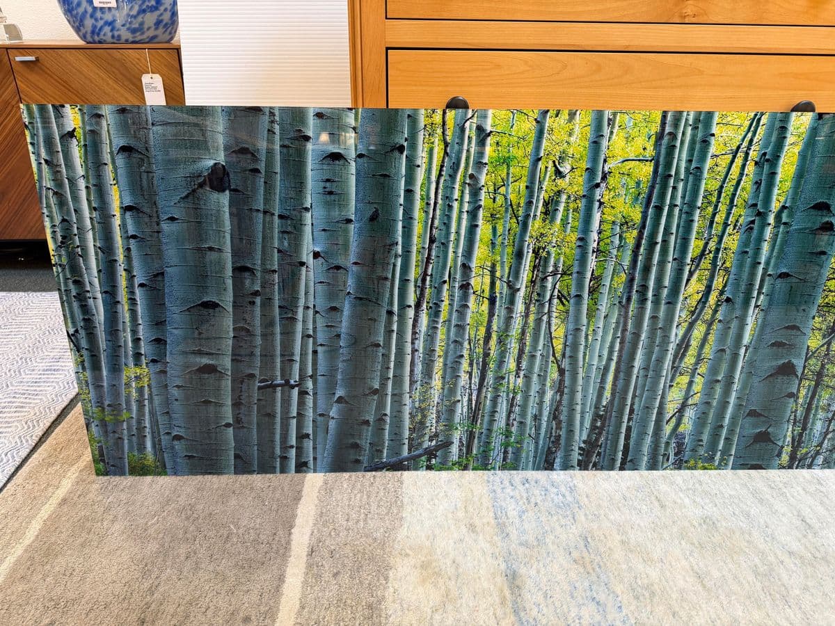 Peter Lik "Endless Birches" Photographic Acrylic Mount - Thumbnail 7