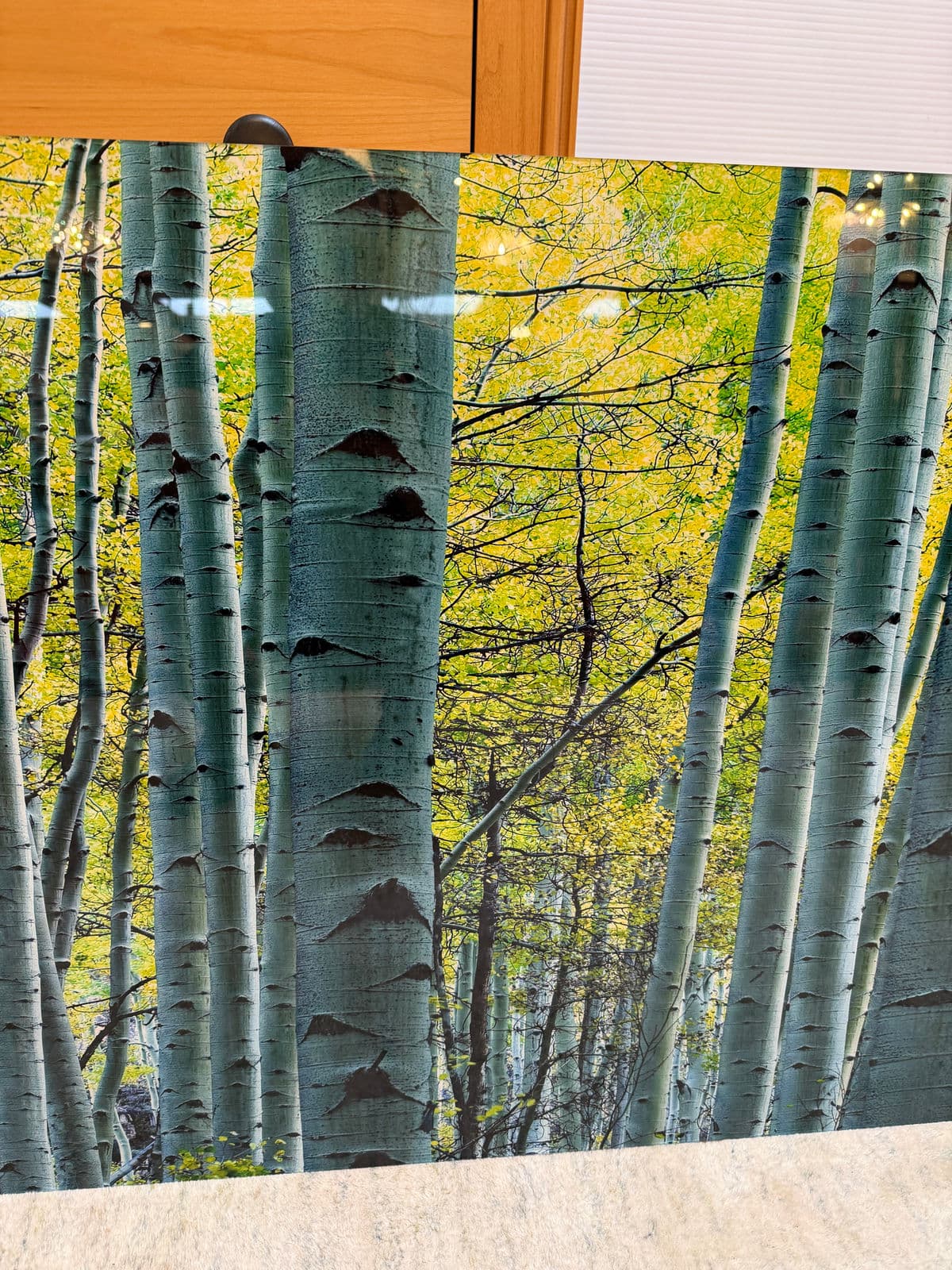 Peter Lik "Endless Birches" Photographic Acrylic Mount - Thumbnail 13