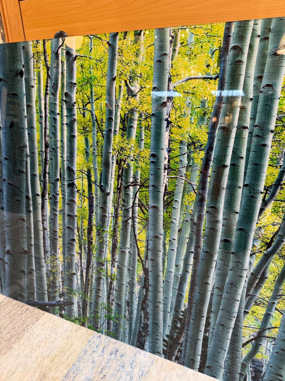 Peter Lik "Endless Birches" Photographic Acrylic Mount - Thumbnail 11