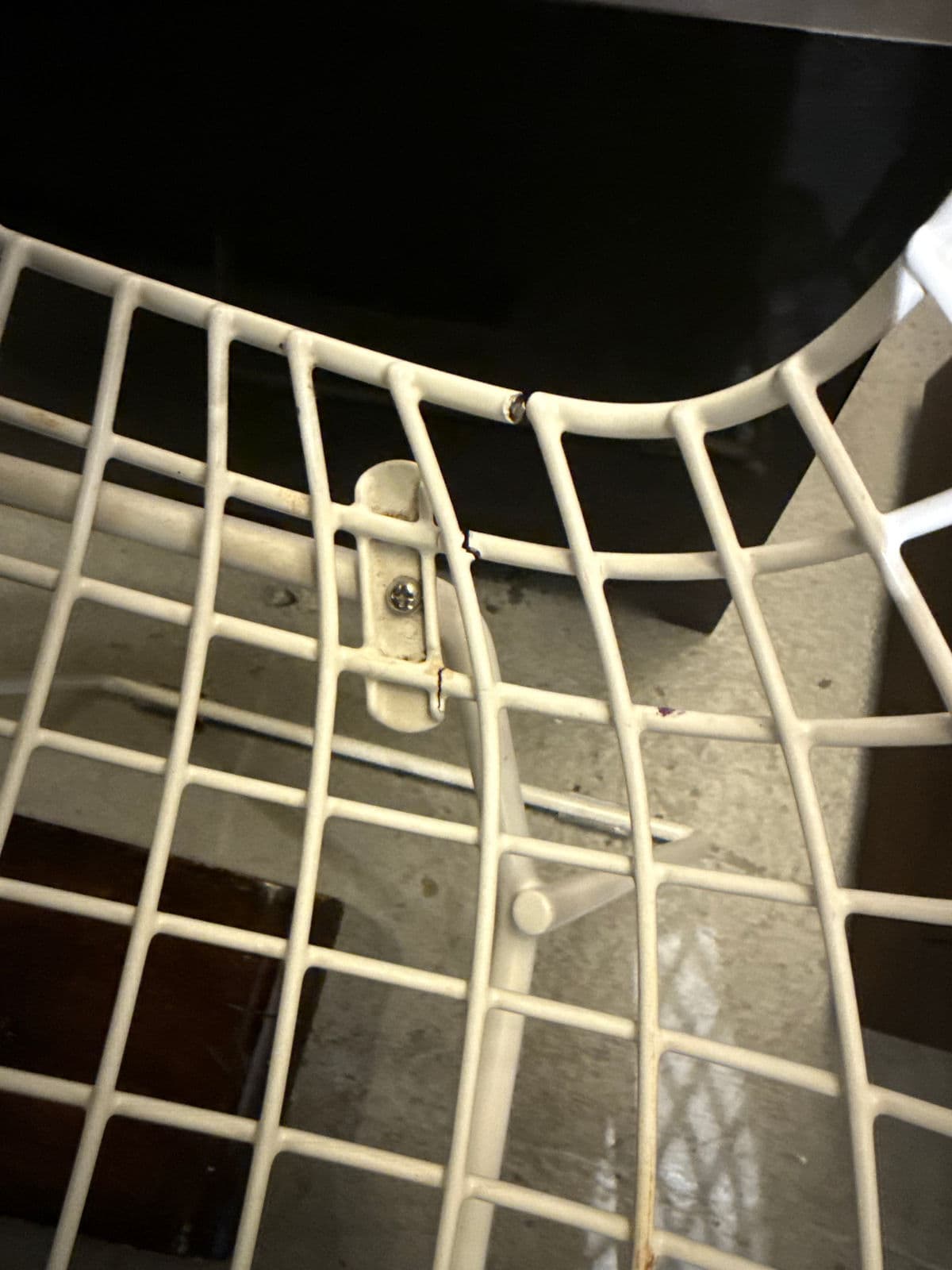 Harry Bertoia Side Chairs, Set of Six - Thumbnail 15