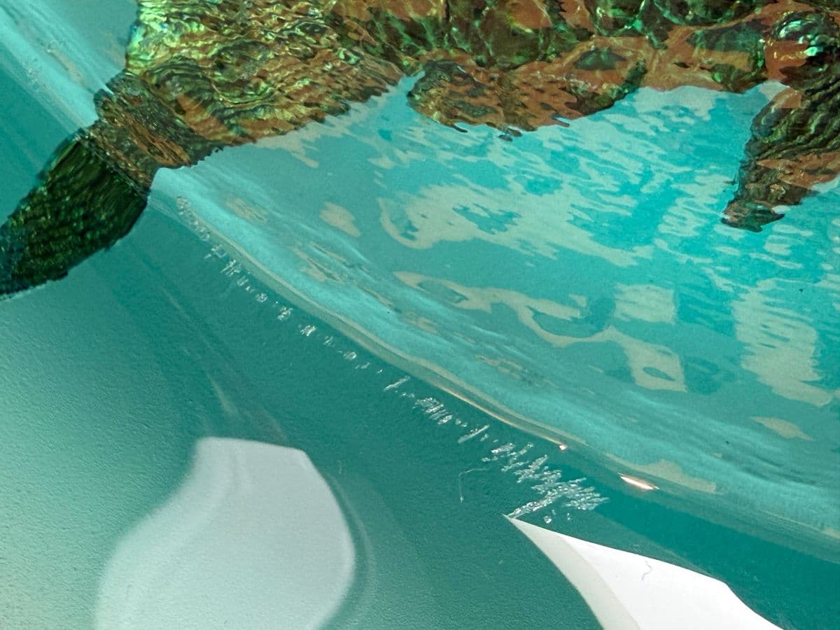 George Bucquet Mad River Cast Glass Bowl + Gold Fish - Thumbnail 9