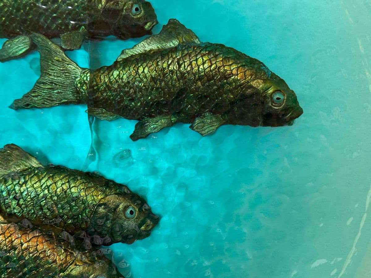 George Bucquet Mad River Cast Glass Bowl + Gold Fish - Thumbnail 13