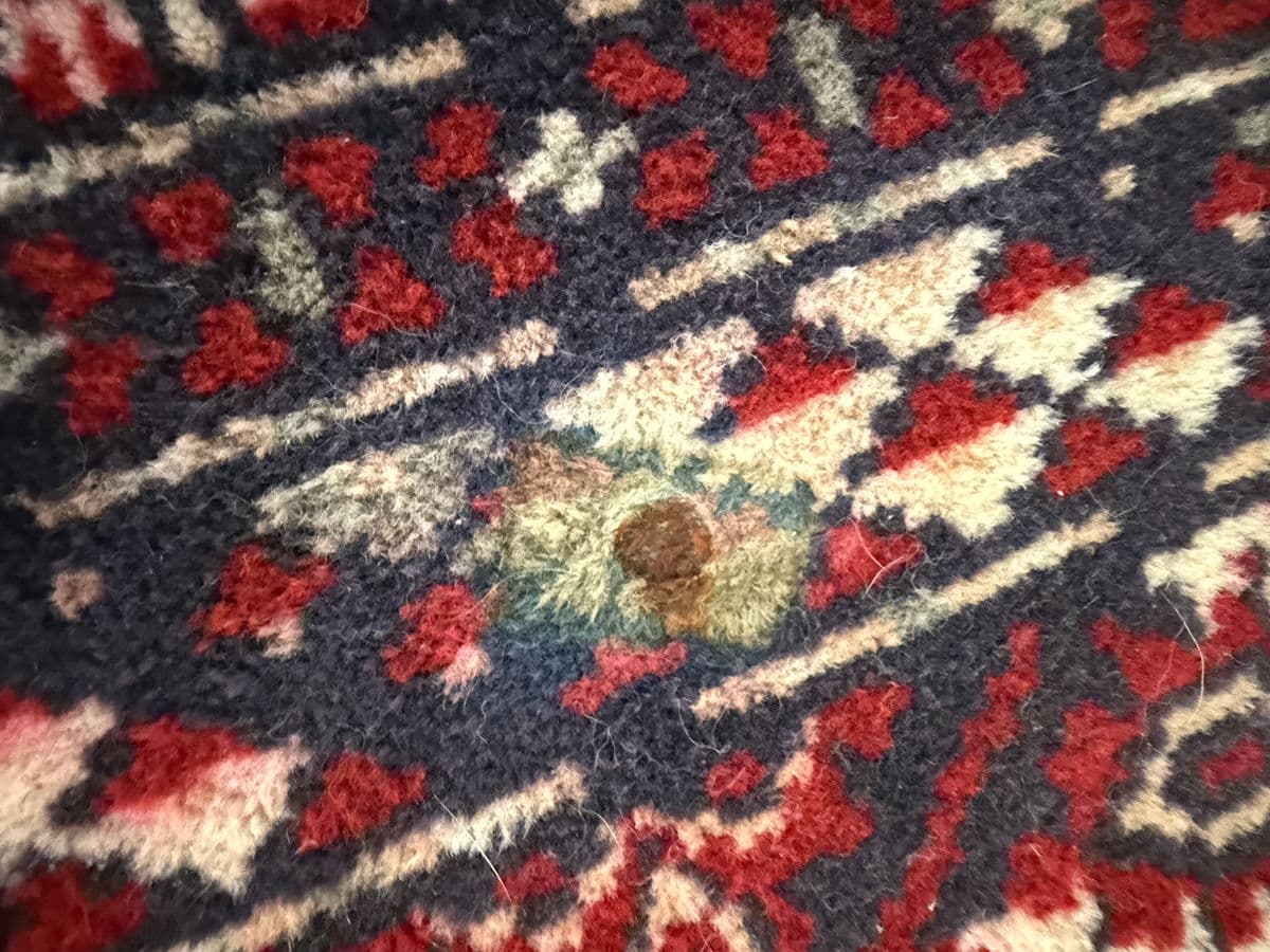 5ft 6in × 7ft 9in Bokhara Wool Area Rug - Thumbnail 13