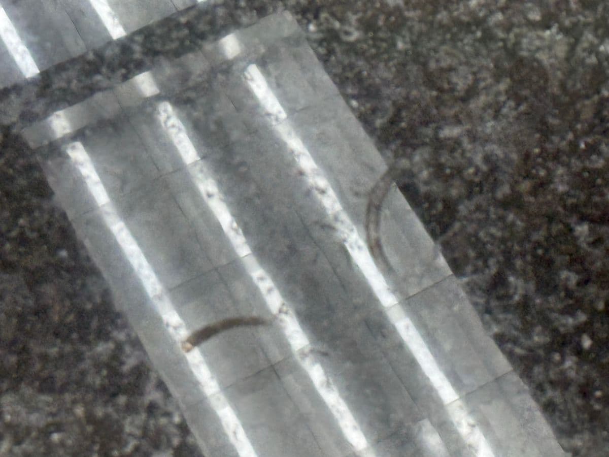 Sunpan Modern Arden Side Table - Thumbnail 13