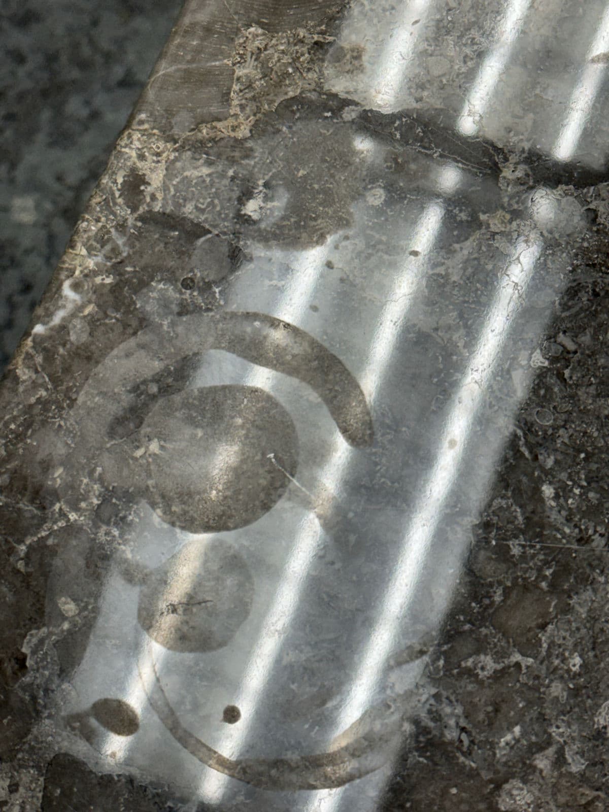 Sunpan Modern Arden Side Tables, Pair - Thumbnail 13