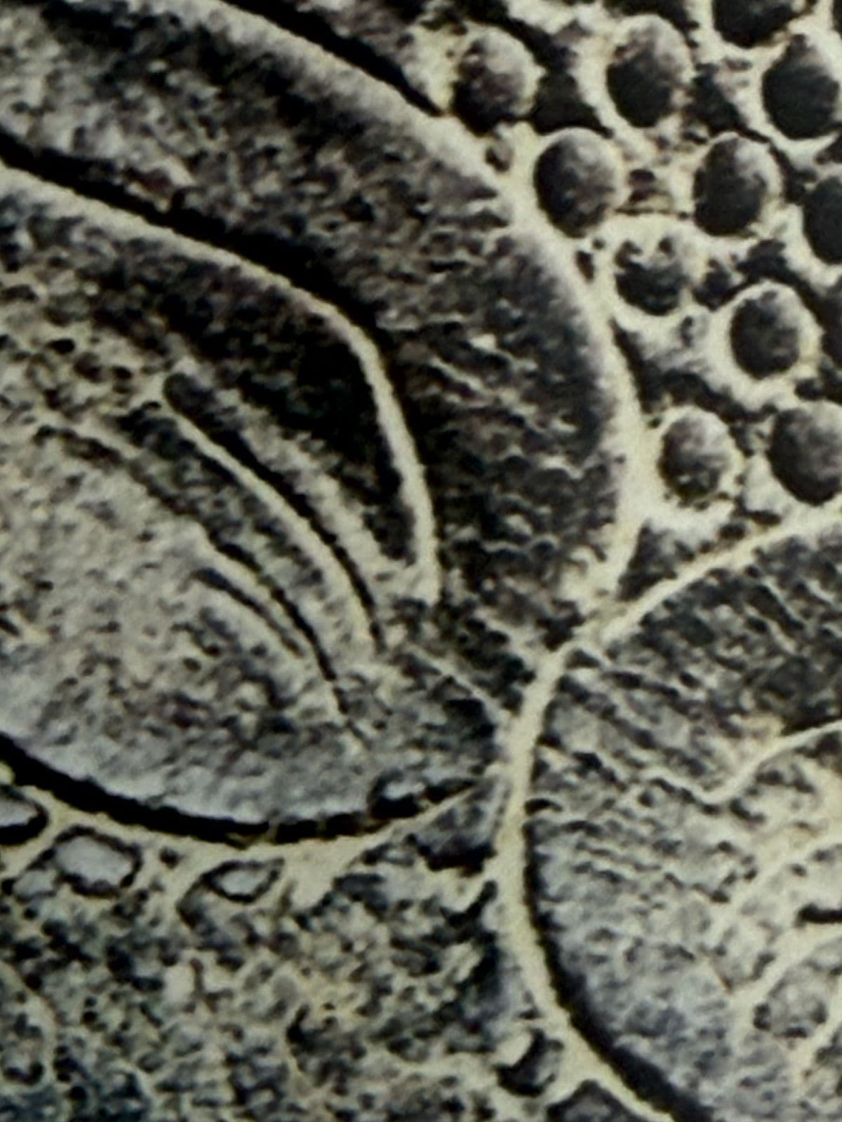 Color Photograph of Leather Tooled Saddle, Framed - Thumbnail 8