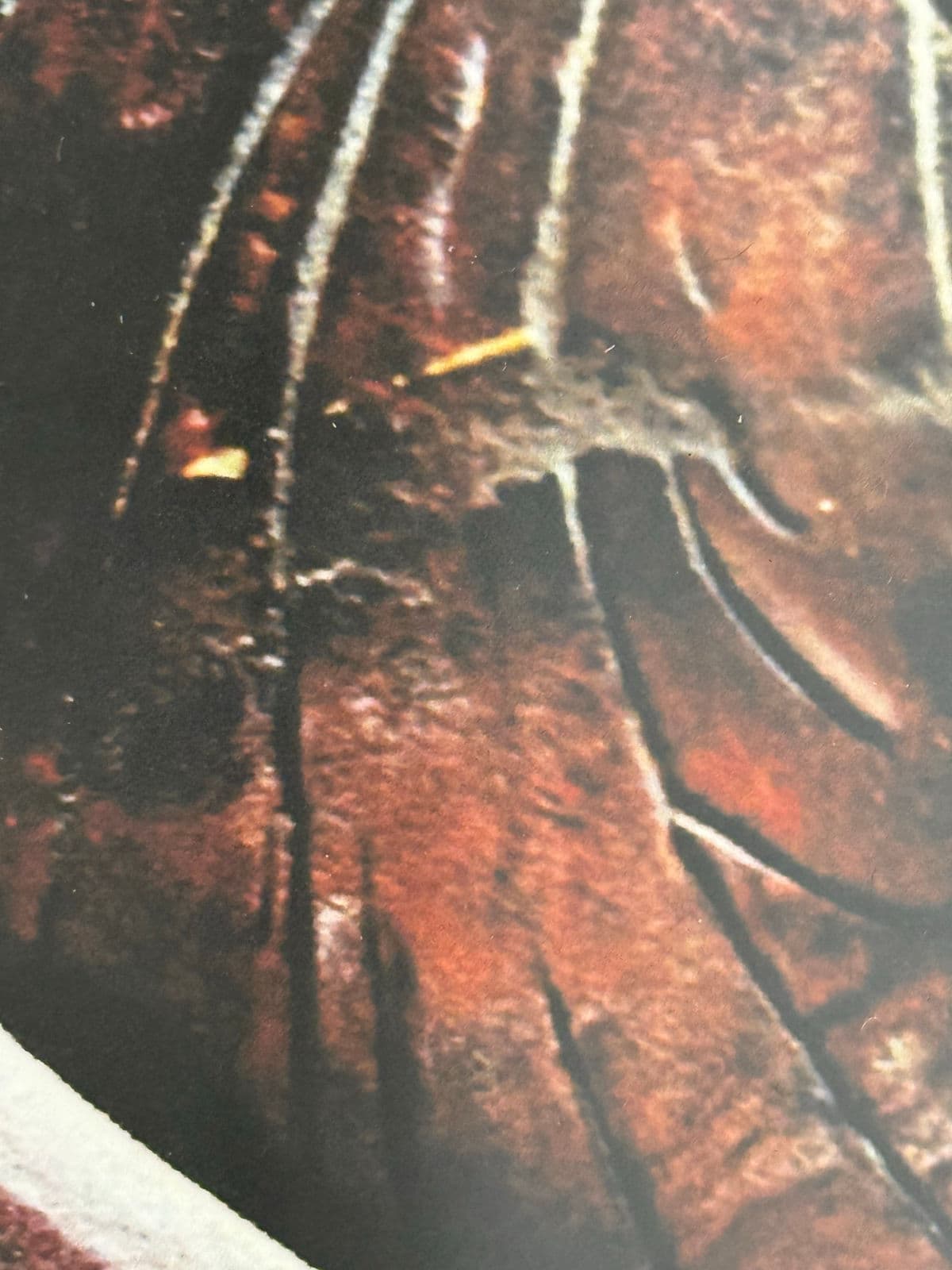 Color Photograph of Leather Tooled Saddle, Framed - Thumbnail 12