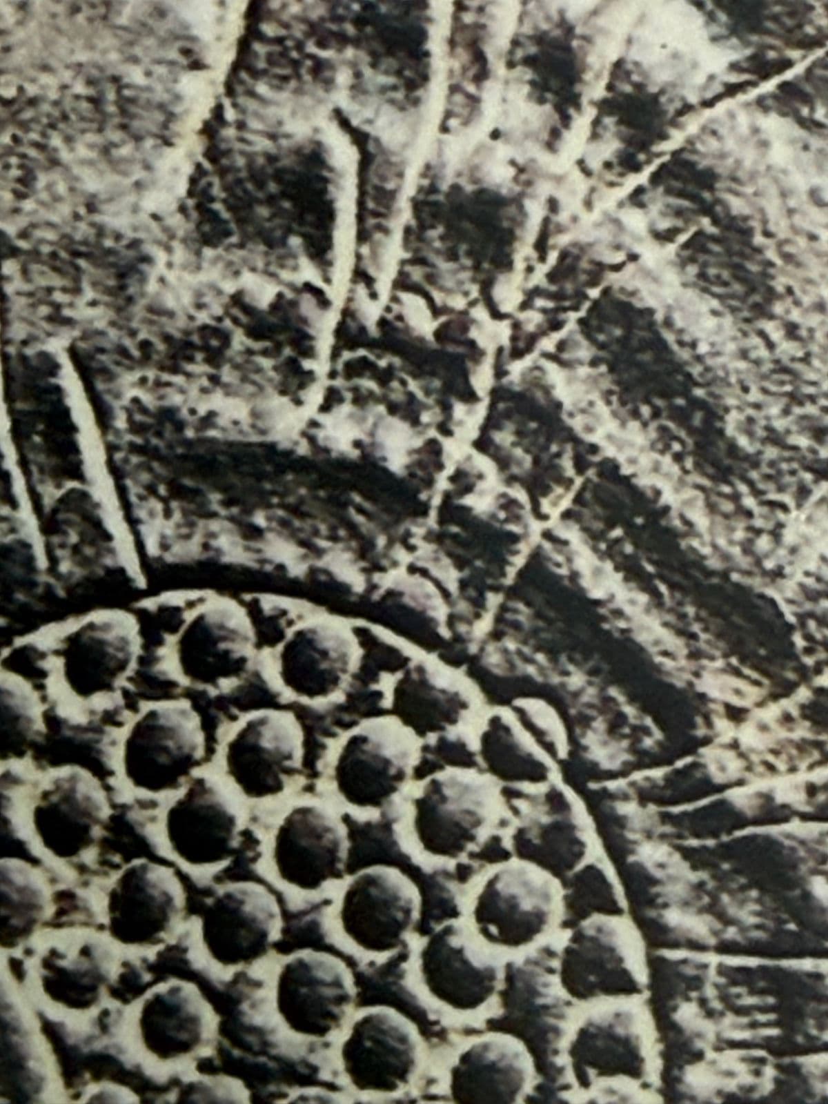 Color Photograph of Leather Tooled Saddle, Framed - Thumbnail 9