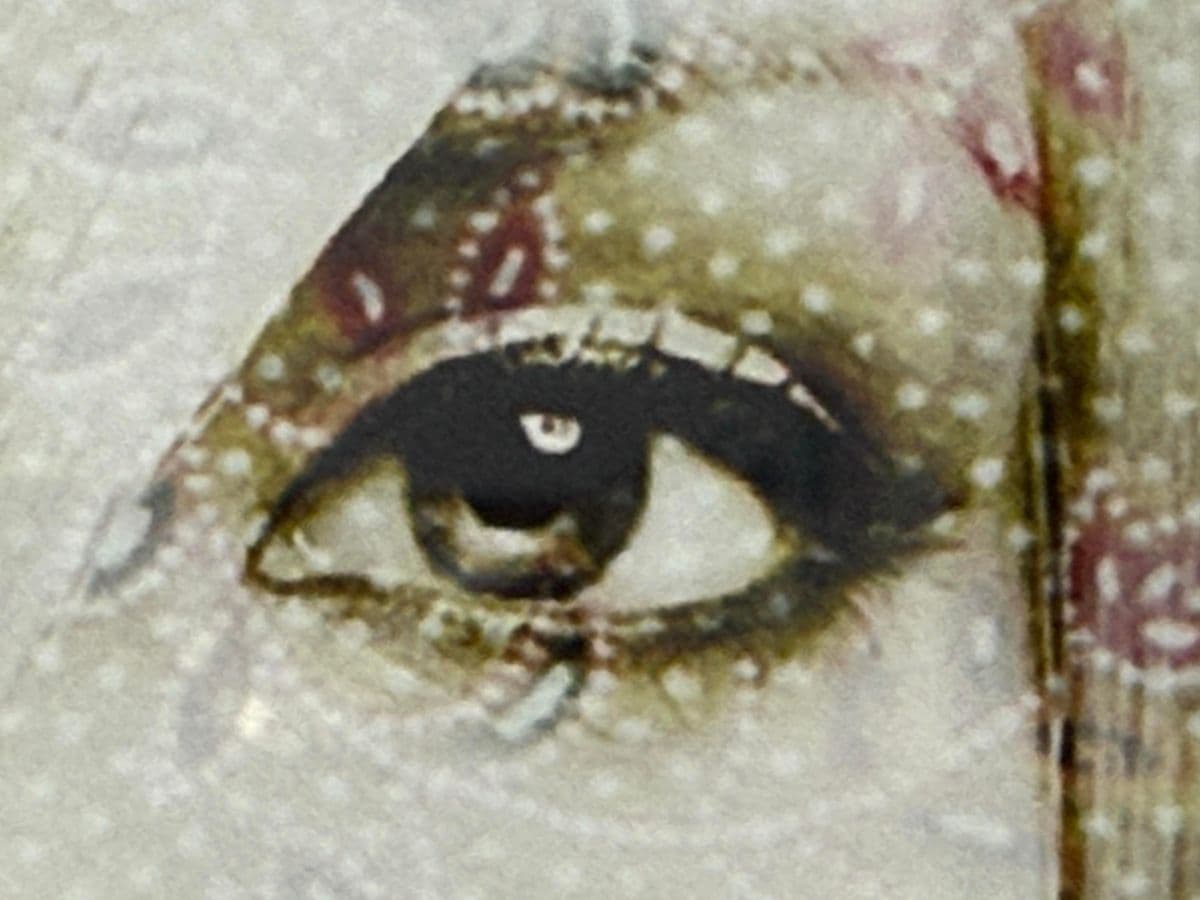 Portrait of Woman With Paisley Overlay, Framed - Thumbnail 8