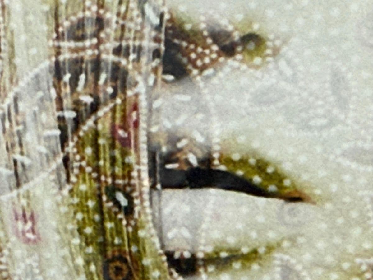 Portrait of Woman With Paisley Overlay, Framed - Thumbnail 9