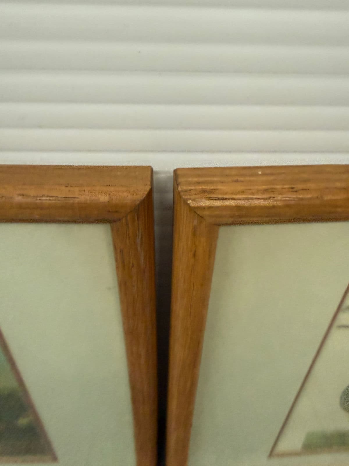 Jan Christian Sepp Merganser Duck Engraving Reproductions, Pair - Thumbnail 8