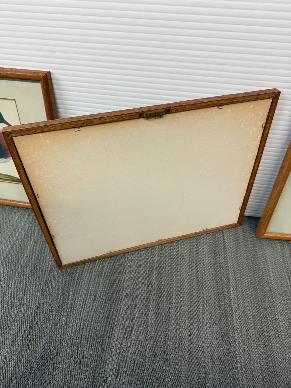 Jan Christian Sepp Merganser Duck Engraving Reproductions, Pair - Thumbnail 4