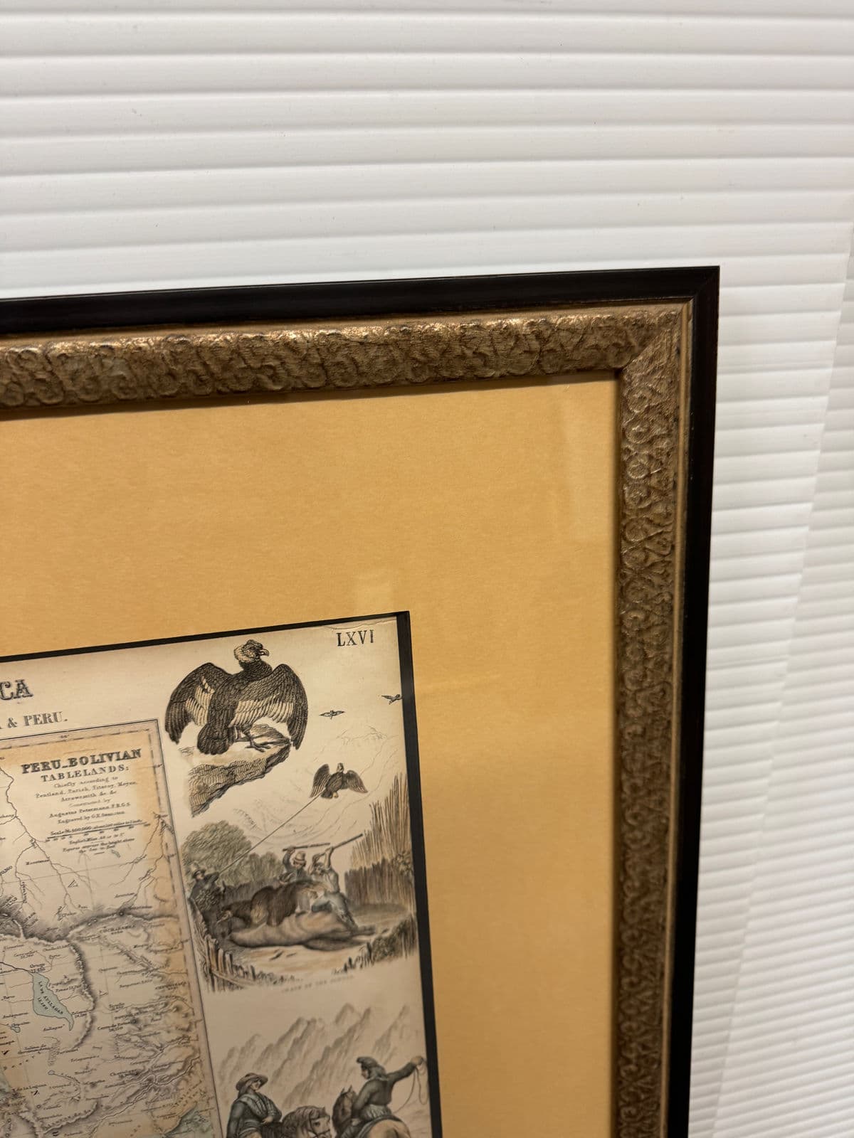 Circa 1860 West Coast of South America Original Print + Certificate of Authenticity - Thumbnail 11