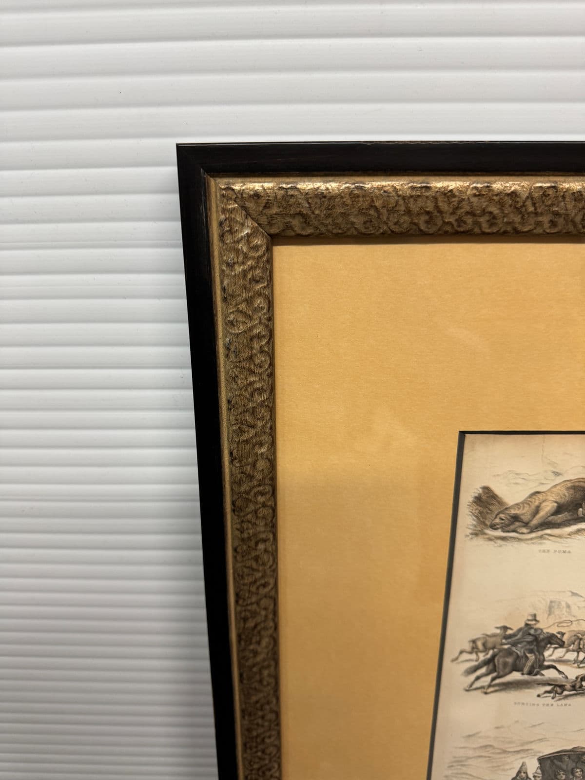 Circa 1860 West Coast of South America Original Print + Certificate of Authenticity - Thumbnail 12