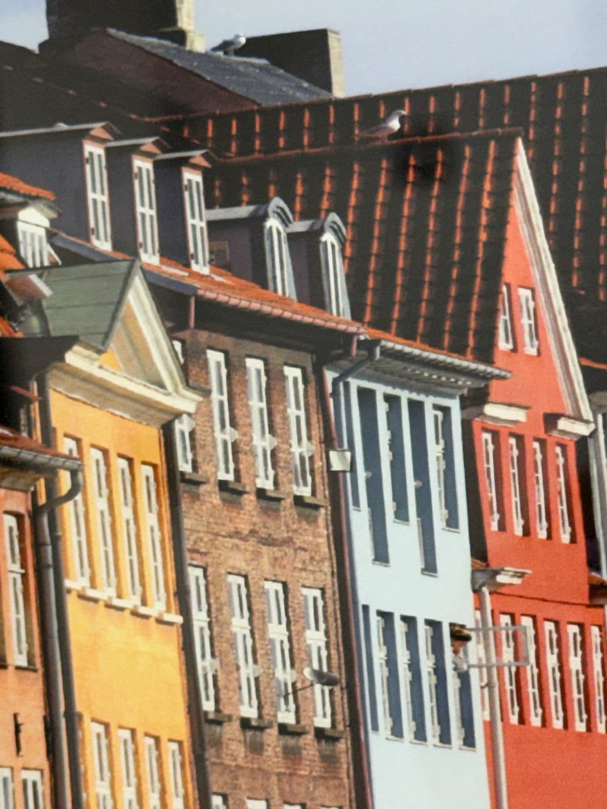 Color Photography Colorful Homes of Denmark Print, Framed - Thumbnail 8