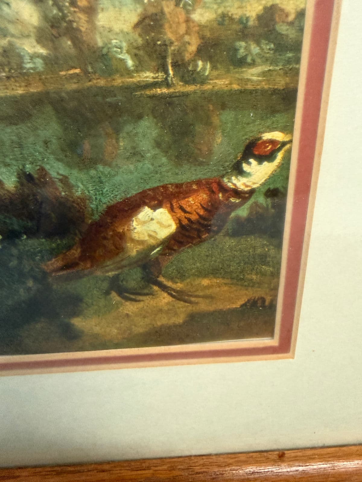 J P Oudry "Pointer and Partridge in a Landscape" Reproduction Print, Framed - Thumbnail 11