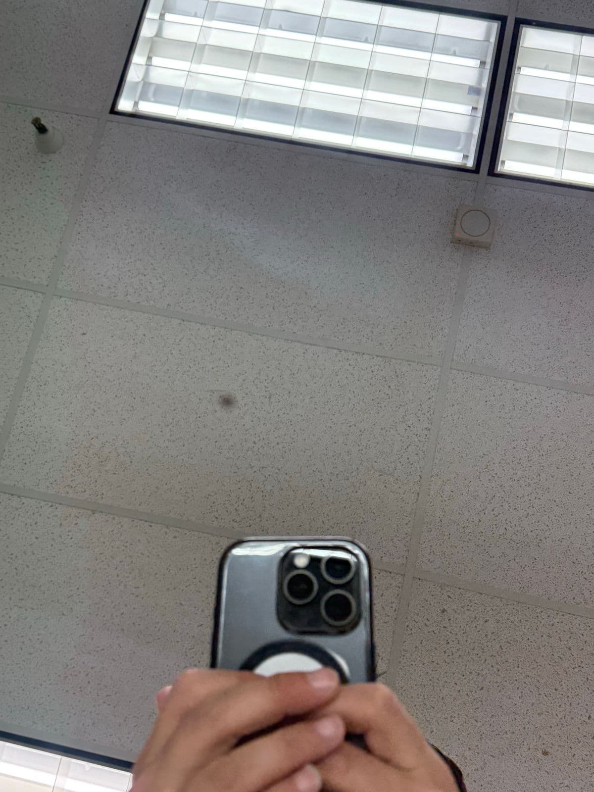 Tonelli Italian Three Oval Wall Mirrors - Thumbnail 10