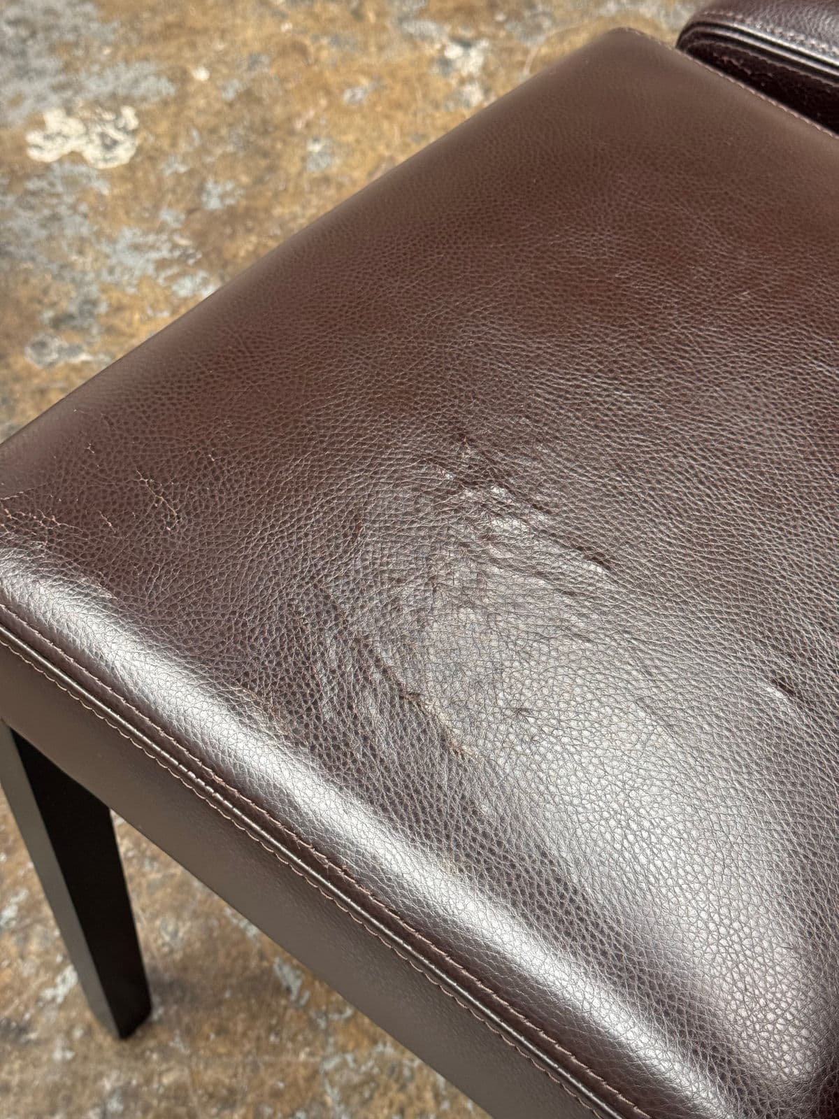 Crate & Barrel Lowe Dining Side Chairs, Set of Five - Thumbnail 5