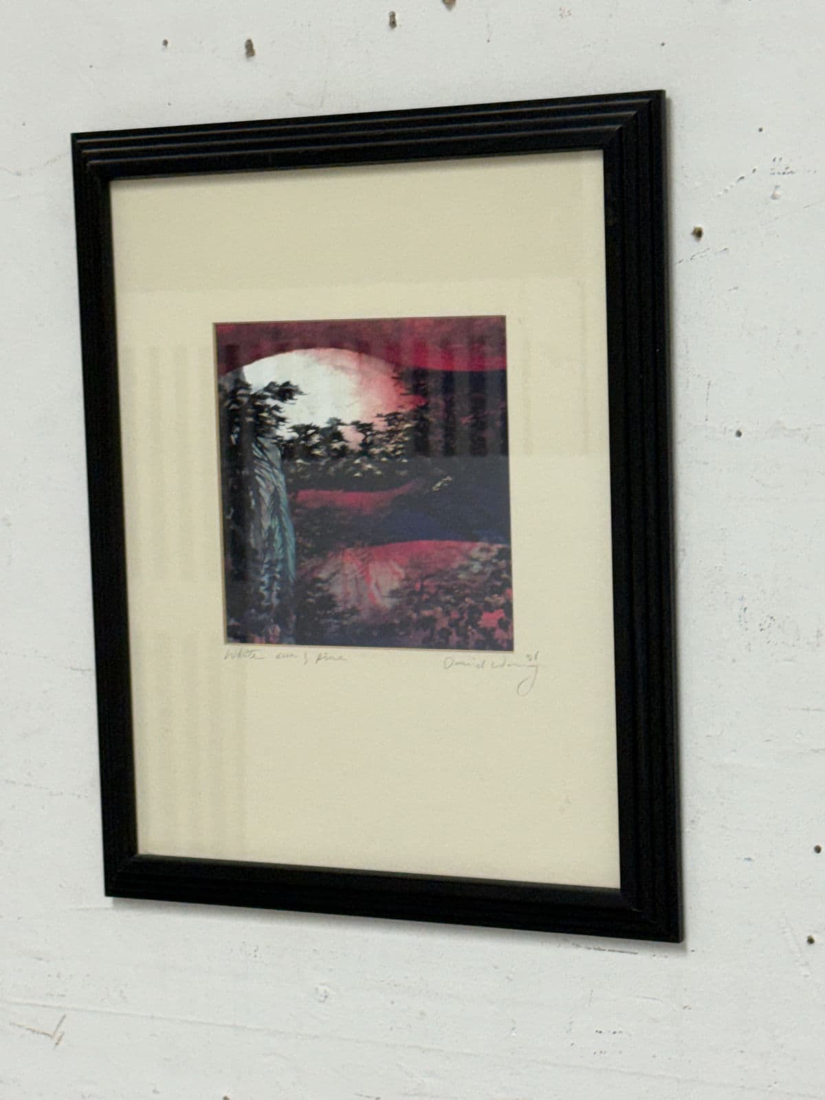 Circa 1996 David Wang White Sun + Pine Frame Artwork - Thumbnail 9
