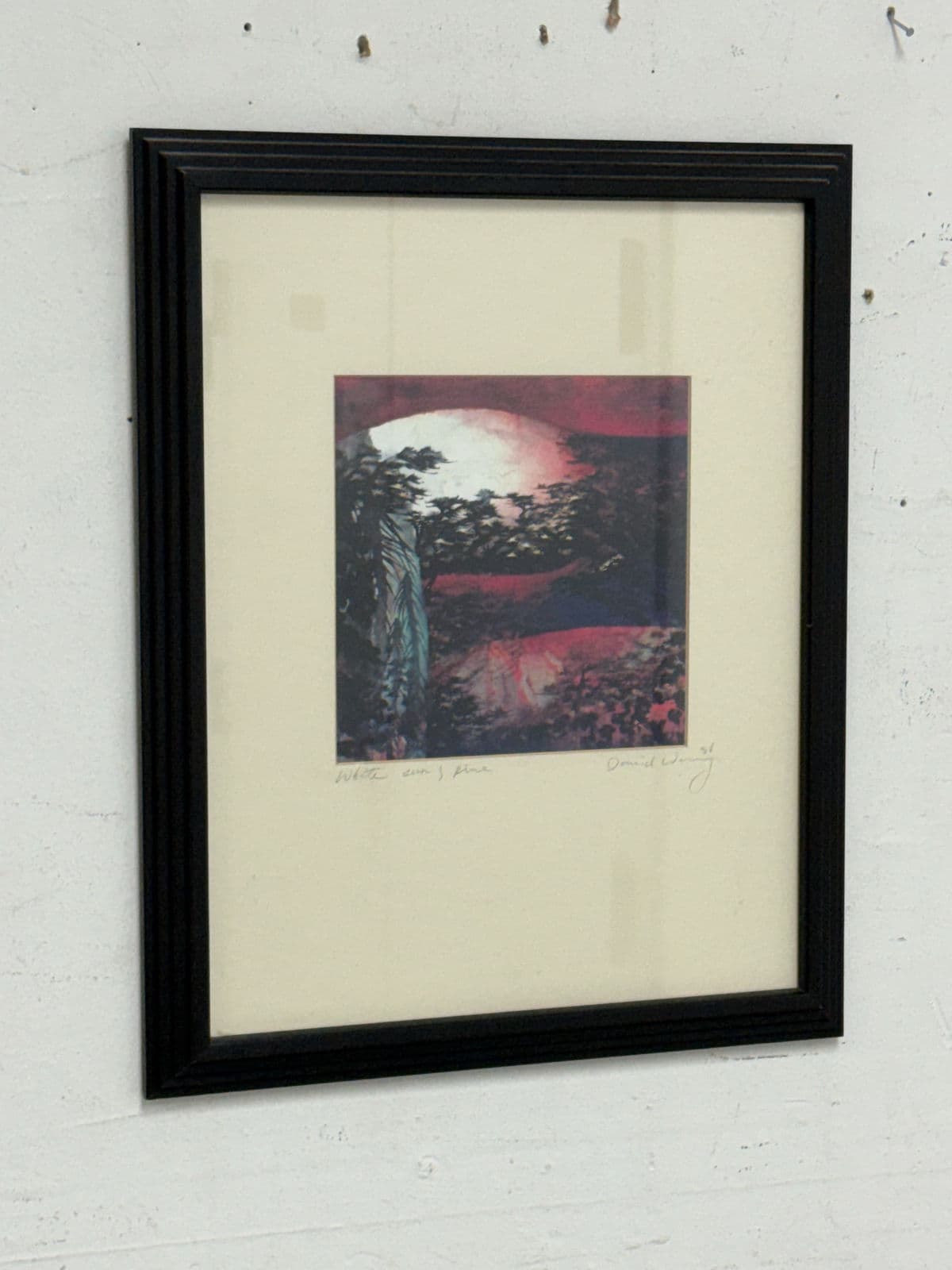 Circa 1996 David Wang White Sun + Pine Frame Artwork - Thumbnail 6