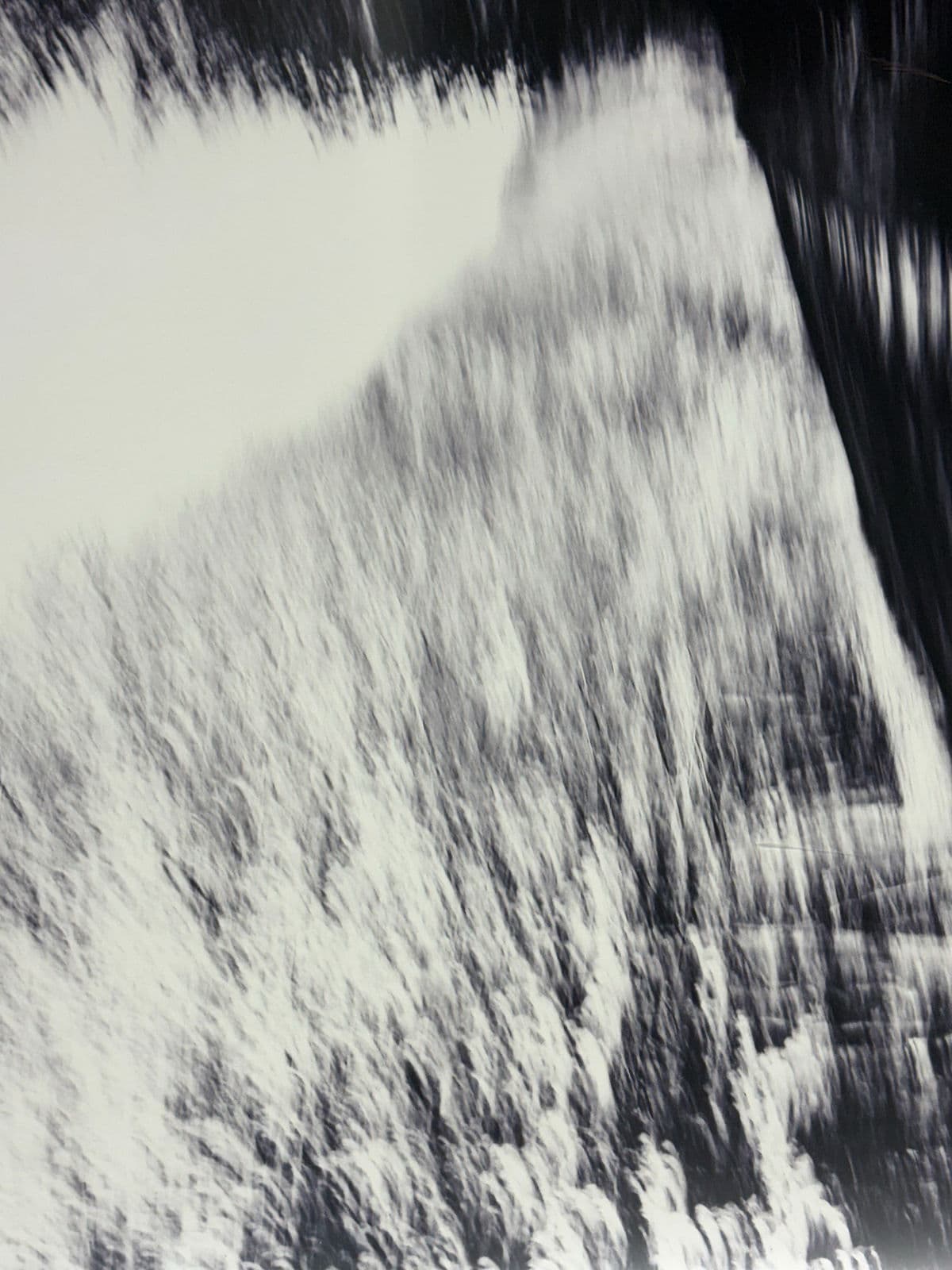 Abstract Tree Line Reproduction Print, Framed - Thumbnail 11