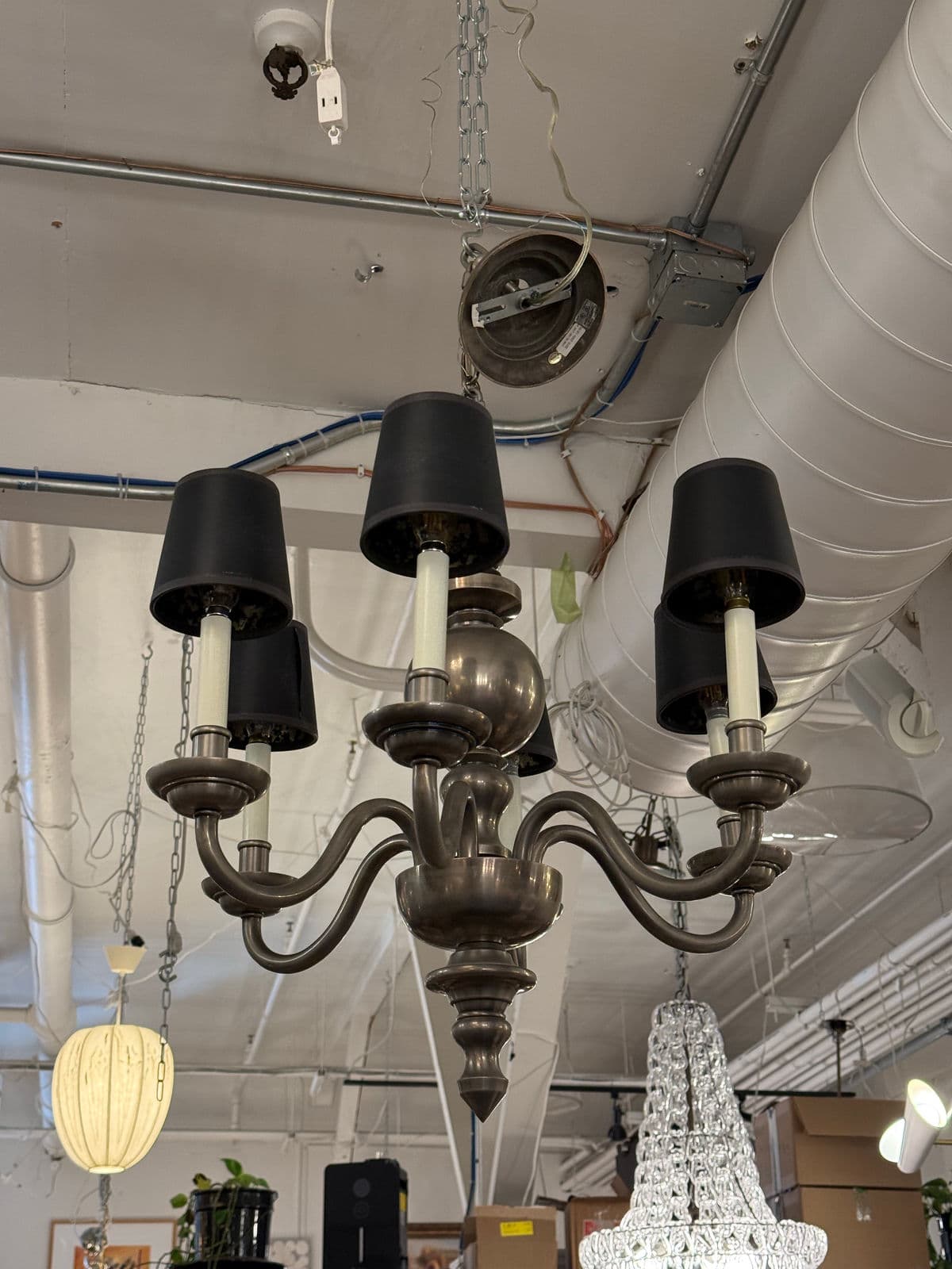 Chapman Six Light Chandelier + Black Shades - Thumbnail 5