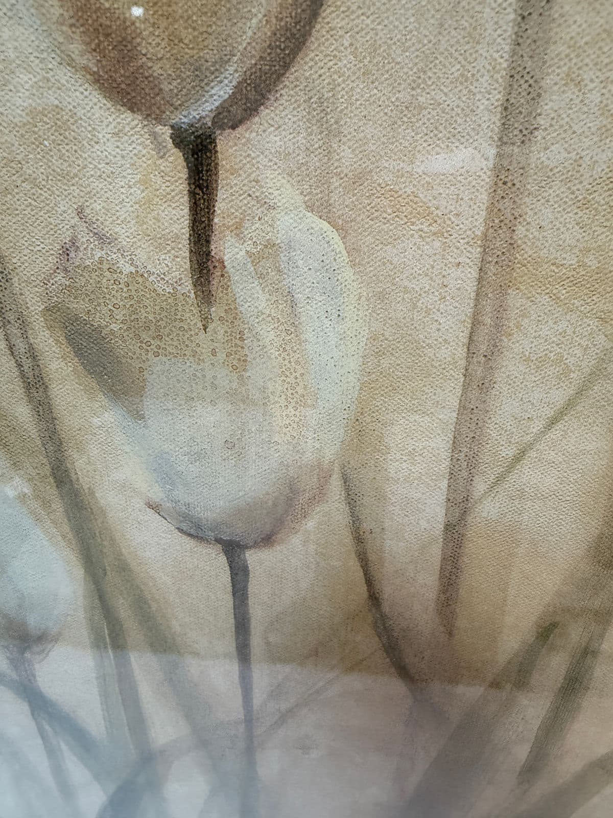 Cheri Blum "White Triumphator Tulips" Art Work, Framed - Thumbnail 7