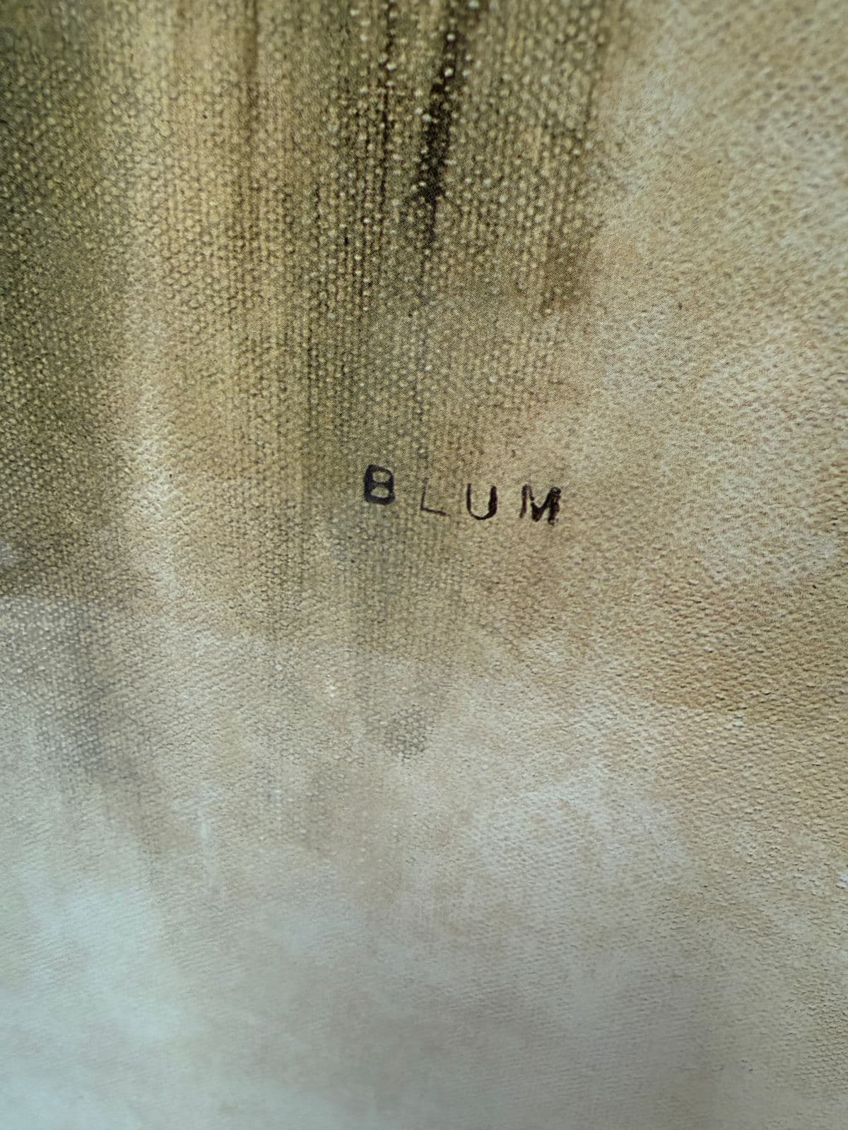 Cheri Blum "White Triumphator Tulips" Art Work, Framed - Thumbnail 5