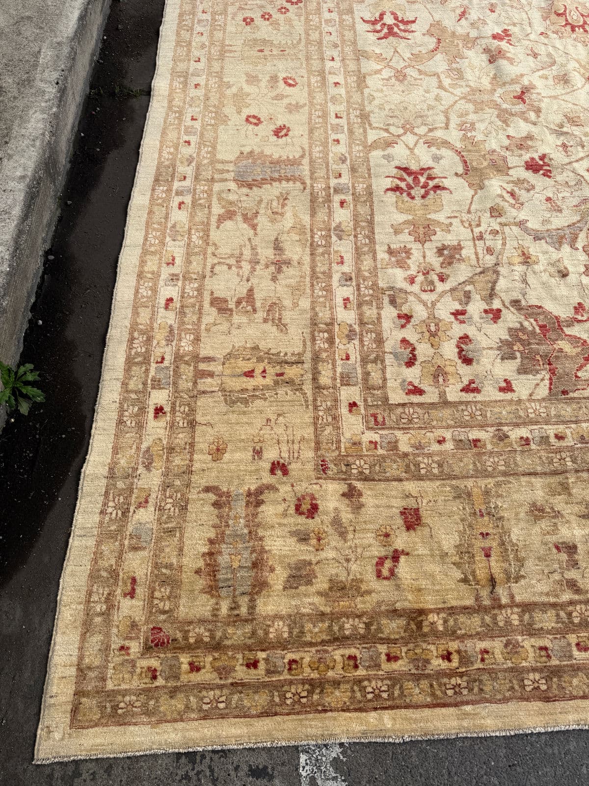 13ft 1in X 16ft 3in Pakistani Bidjar Wool + Silk Area Rug - Thumbnail 11