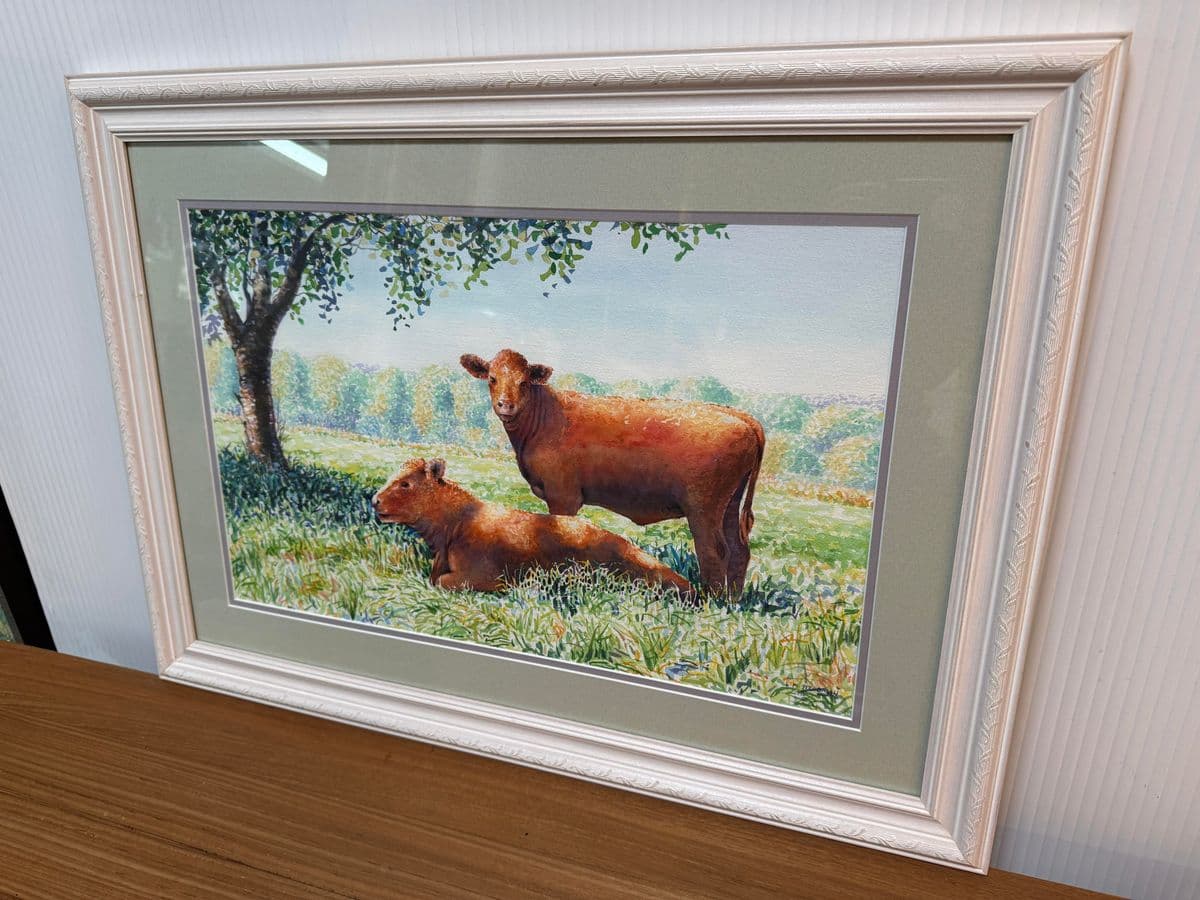 Circa 1996 l.m. Steadman Two Cows Resting in Pasture Watercolor, Signed - Thumbnail 4