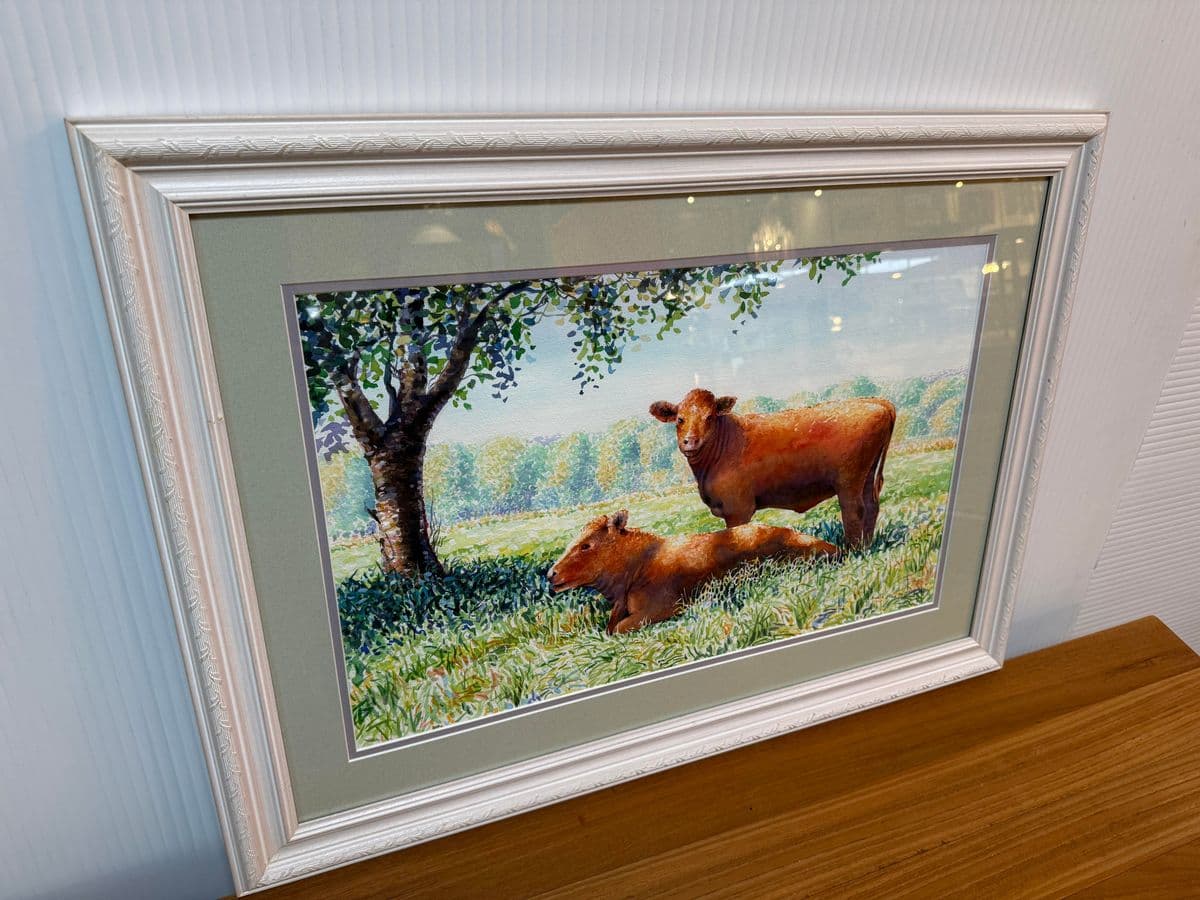 Circa 1996 l.m. Steadman Two Cows Resting in Pasture Watercolor, Signed - Thumbnail 3