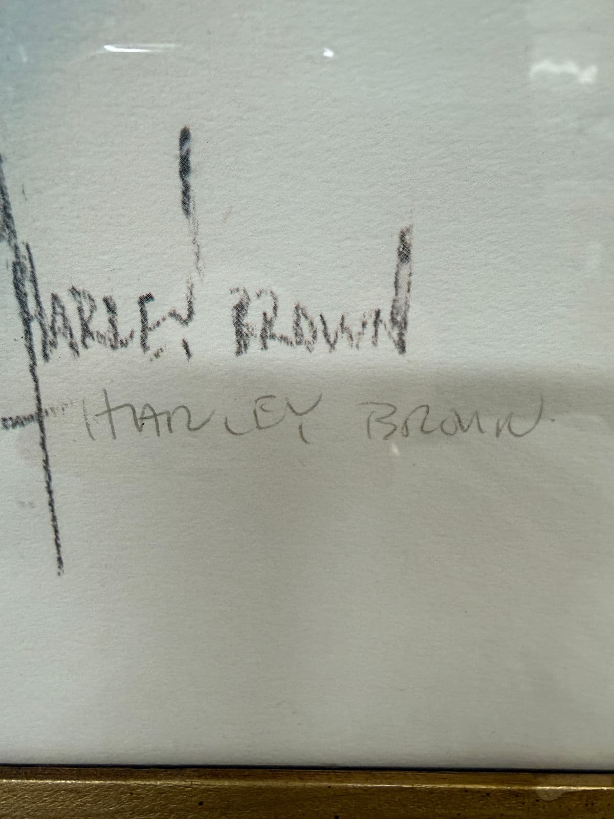 Harley Brown Sitting Eagle Lithograph, Signed - Thumbnail 5