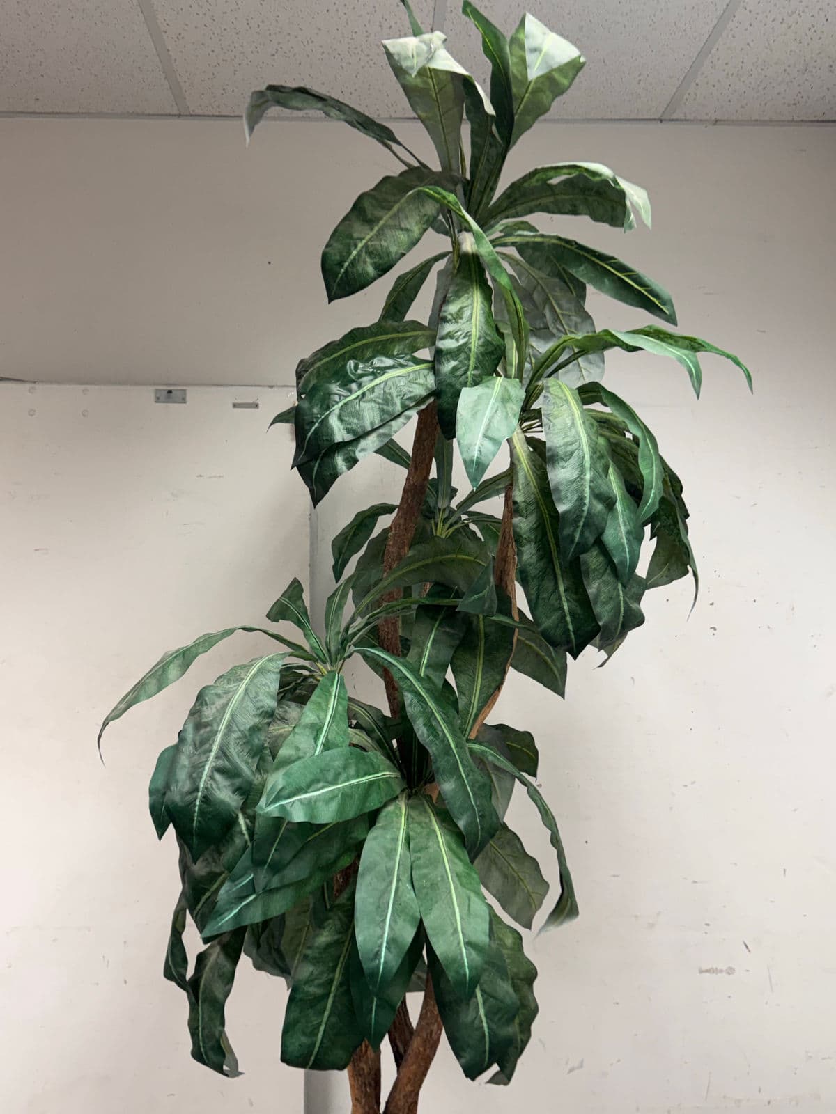 Faux Bird Nest Palm + Black Tapered Planter - Thumbnail 6