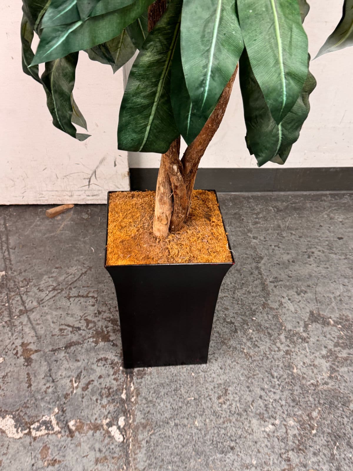 Faux Bird Nest Palm + Black Tapered Planter - Thumbnail 13