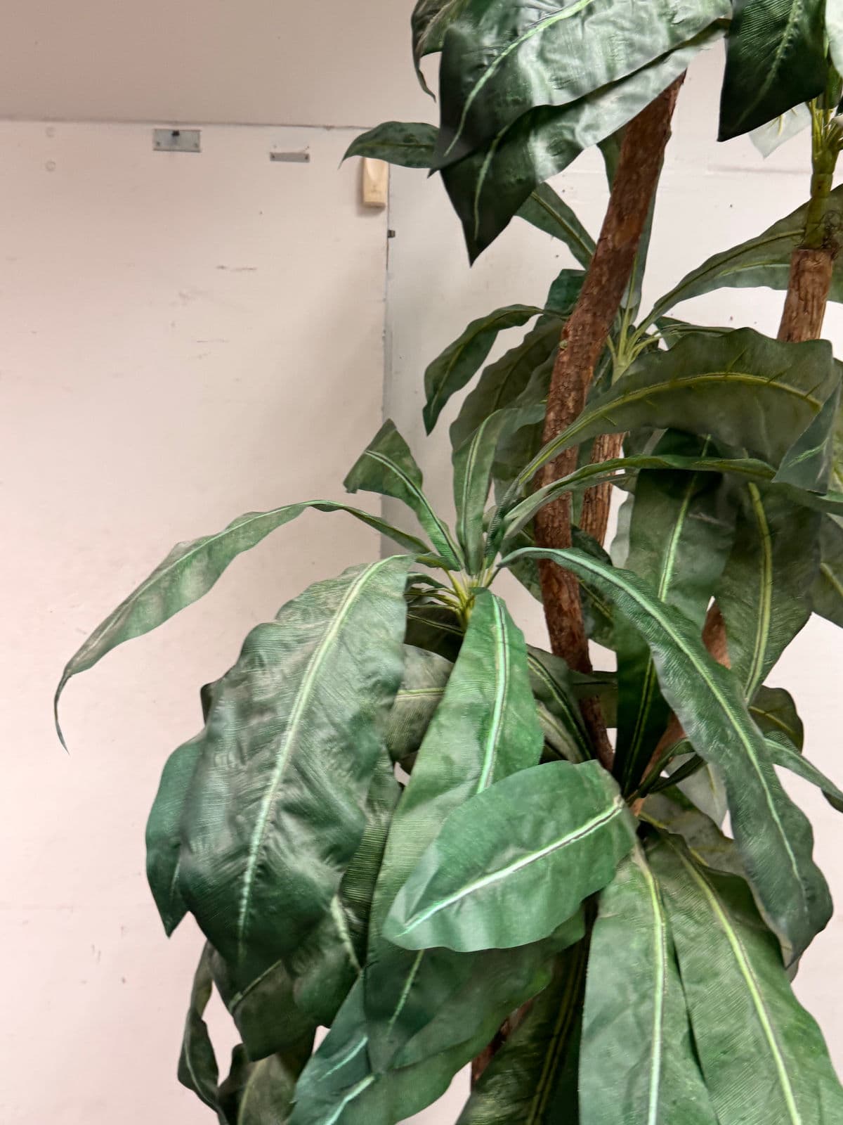 Faux Bird Nest Palm + Black Tapered Planter - Thumbnail 9