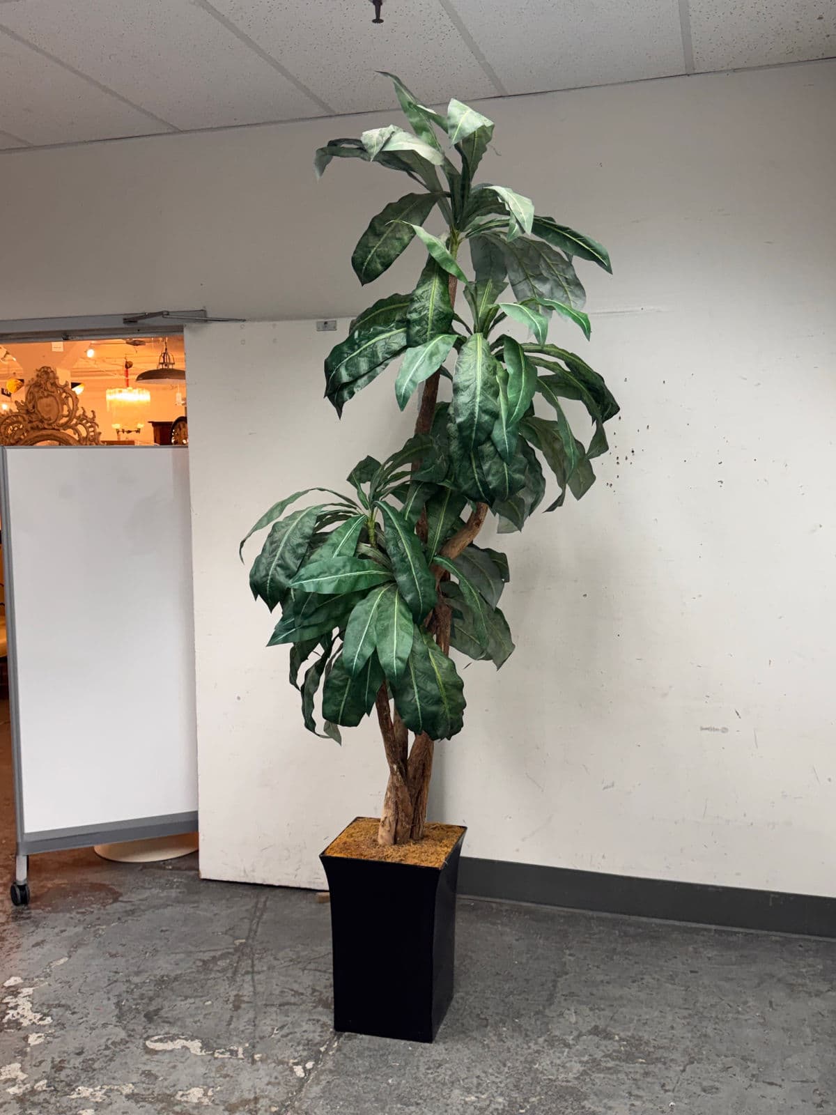 Faux Bird Nest Palm + Black Tapered Planter - Thumbnail 3