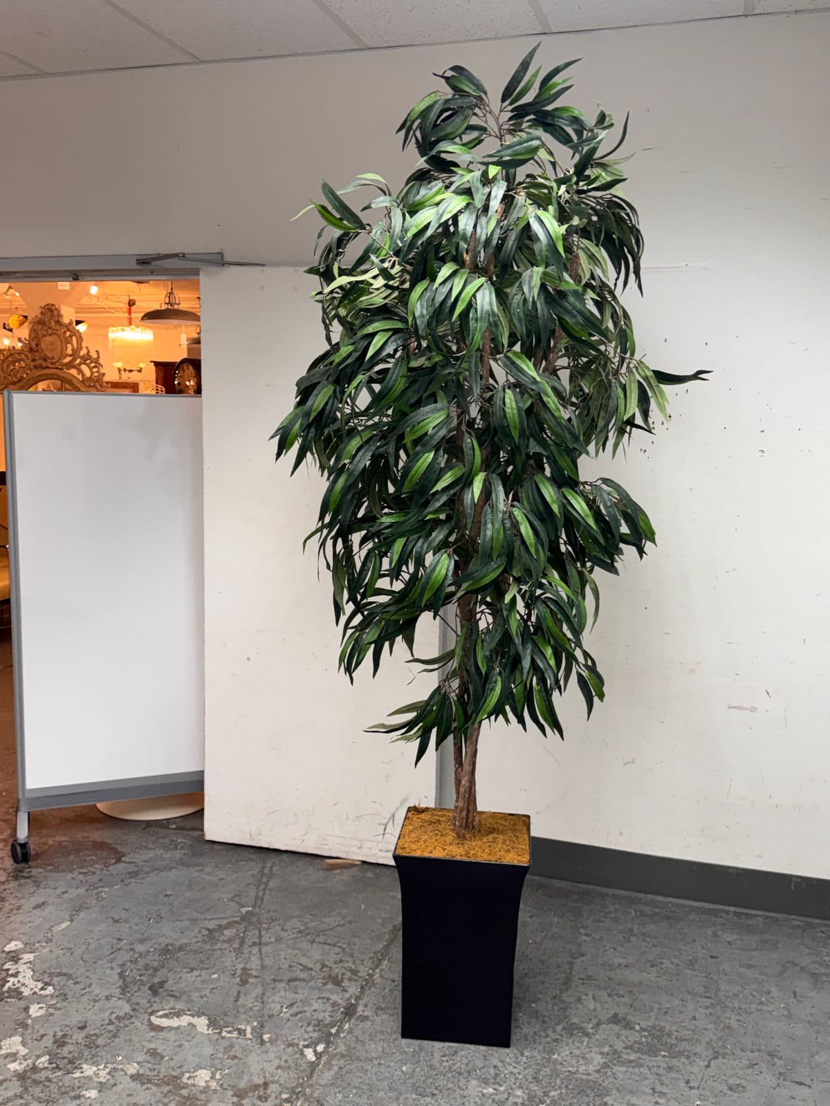 Faux Mango Tree + Tapered Black Planter - Thumbnail 3