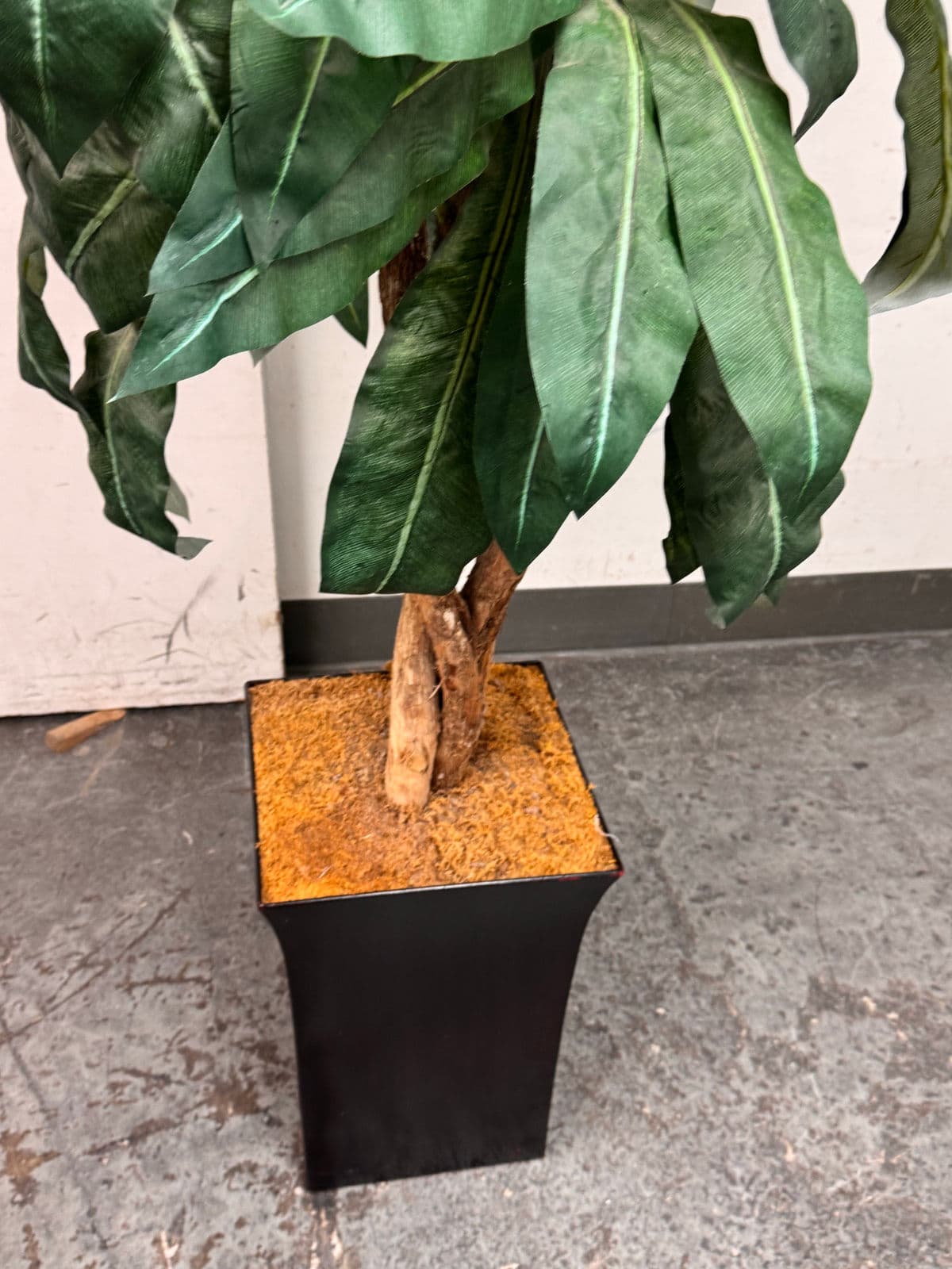 Faux Bird Nest Palm + Black Tapered Planter - Thumbnail 10