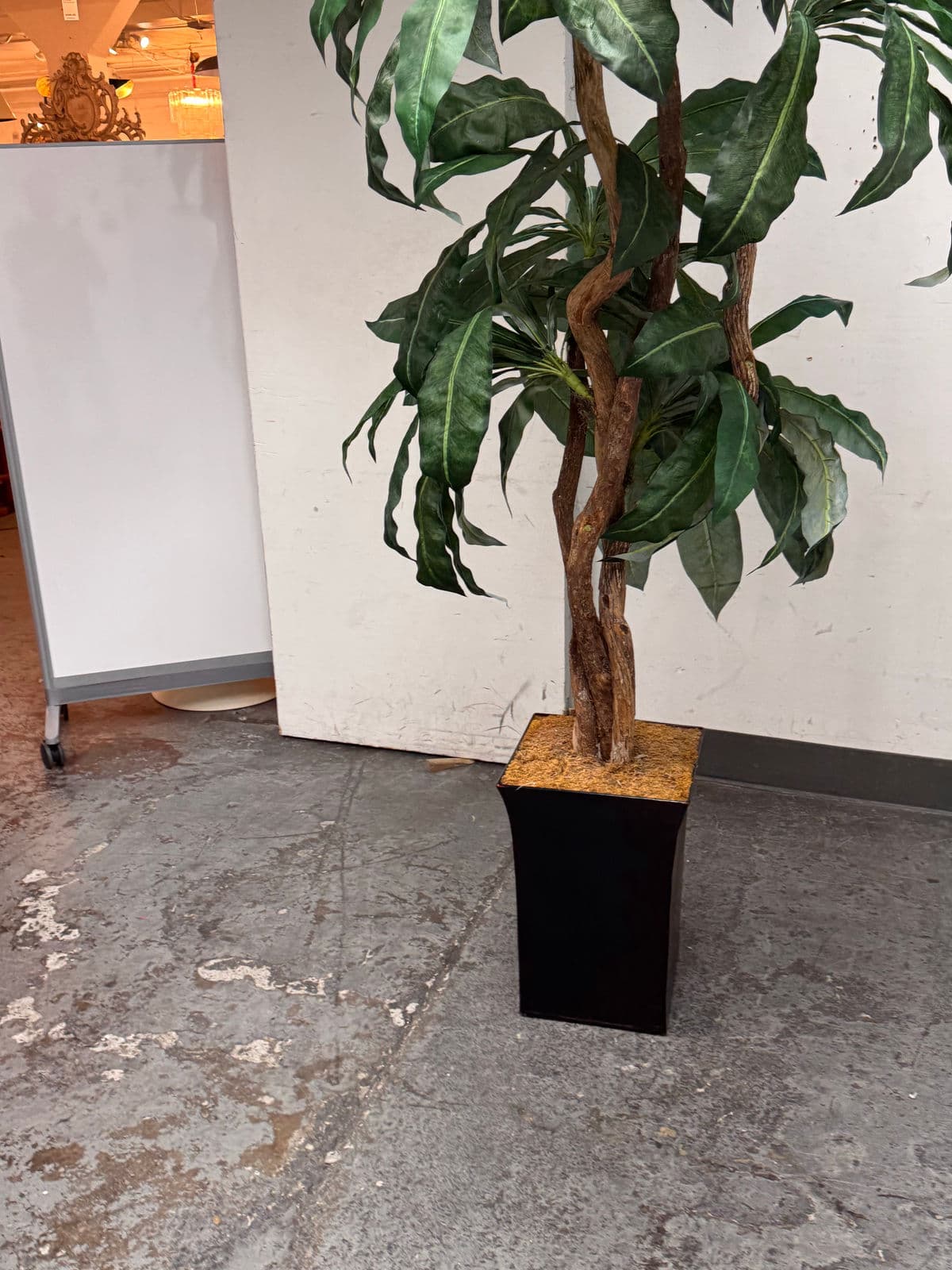 Faux Bird Nest Palm + Black Tapered Planter - Thumbnail 4