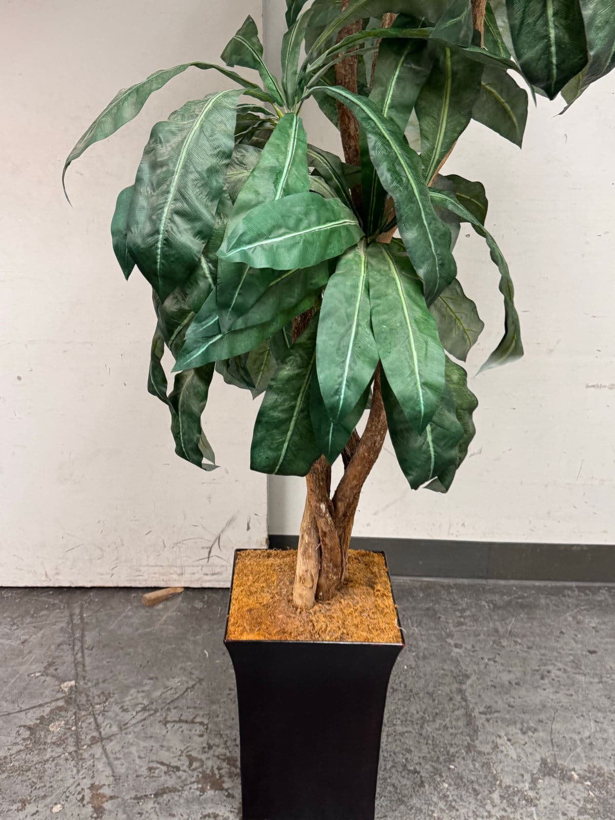 Faux Bird Nest Palm + Black Tapered Planter - Thumbnail 8