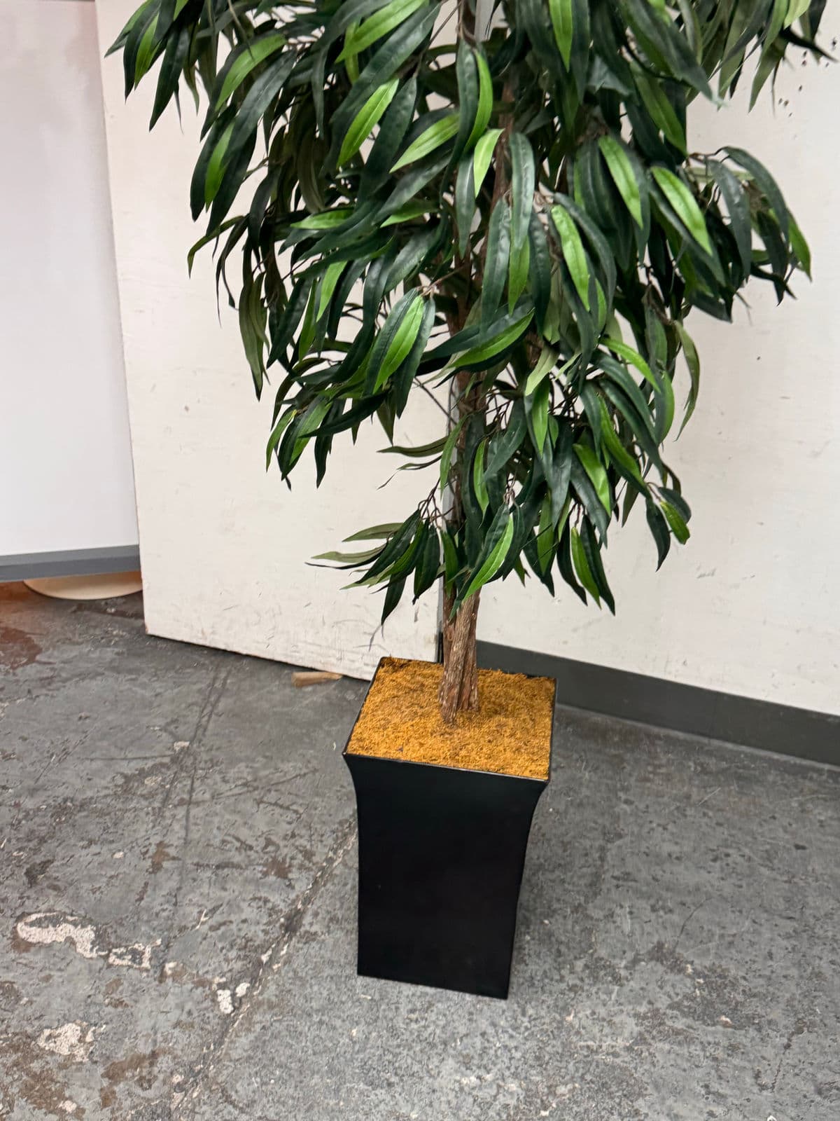 Faux Mango Tree + Tapered Black Planter - Thumbnail 6